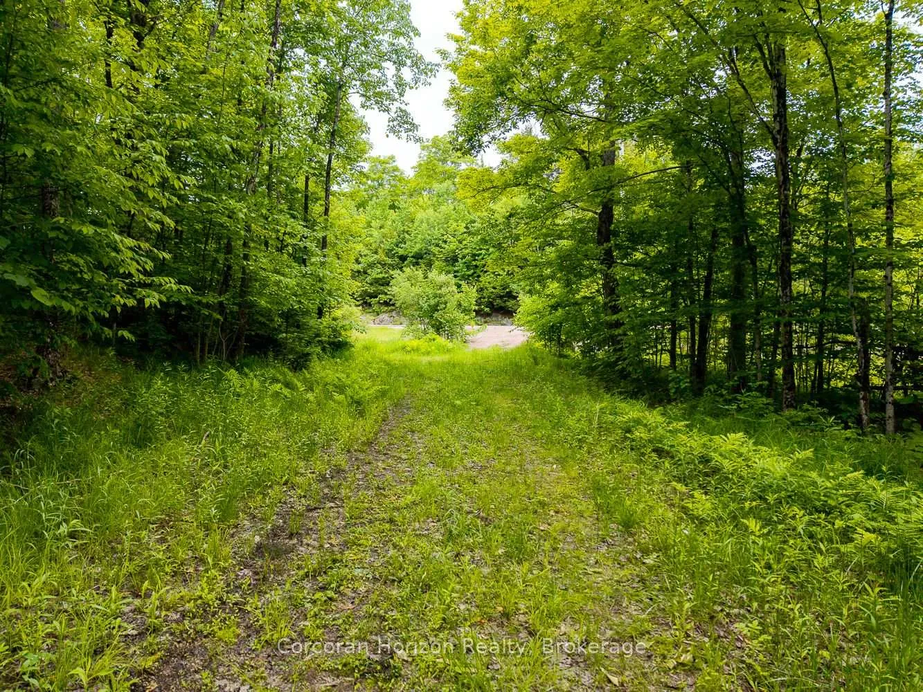 Photo 27 of Part 4 118 Highway E, Bracebridge, Oakley — HOMEH