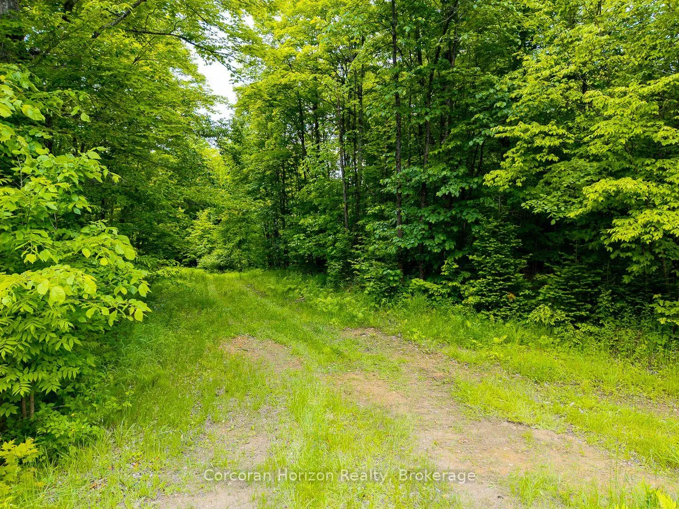 Photo 28 of Part 4 118 Highway E, Bracebridge, Oakley — HOMEH