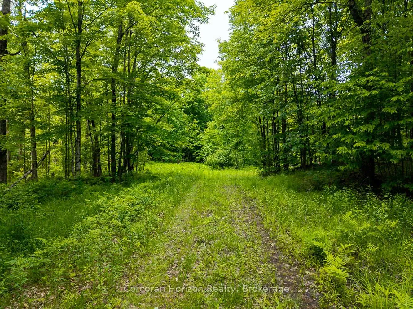 Photo 29 of Part 4 118 Highway E, Bracebridge, Oakley — HOMEH