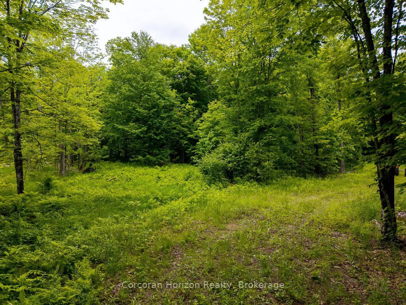 Photo 30 of Part 4 118 Highway E, Bracebridge, Oakley — HOMEH