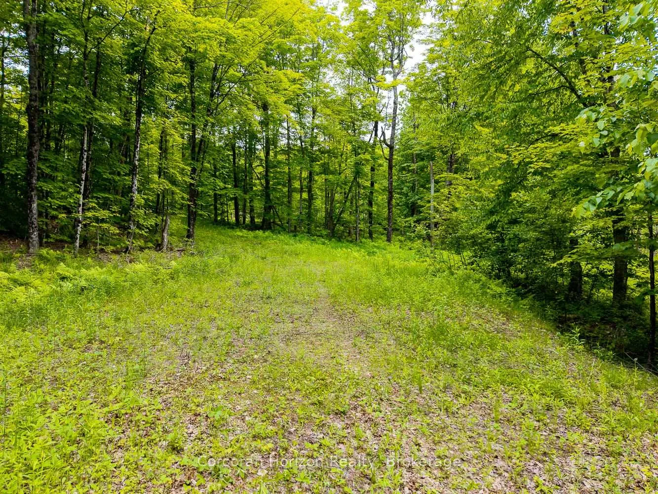 Photo 32 of Part 4 118 Highway E, Bracebridge, Oakley — HOMEH