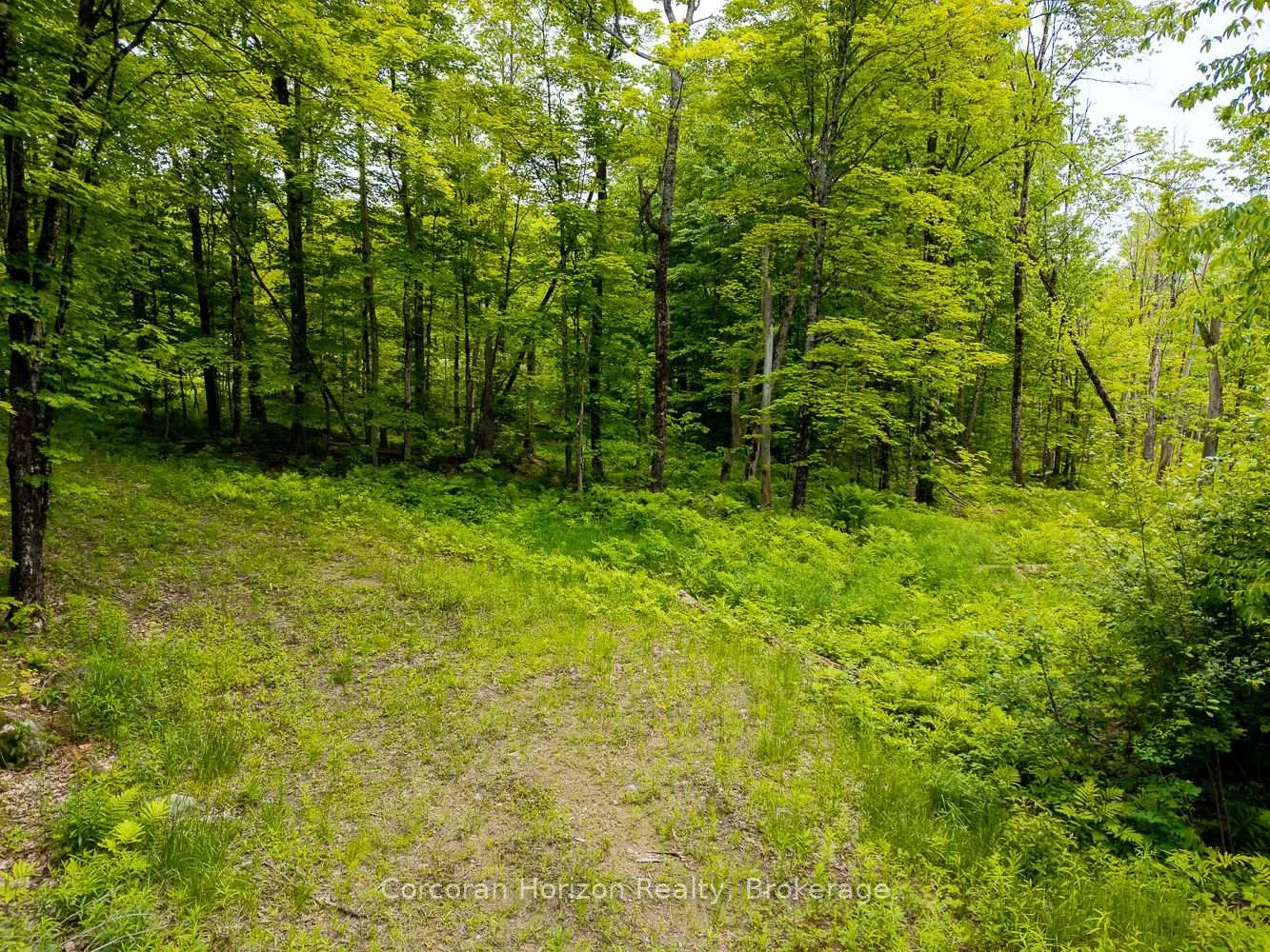 Photo 33 of Part 4 118 Highway E, Bracebridge, Oakley — HOMEH