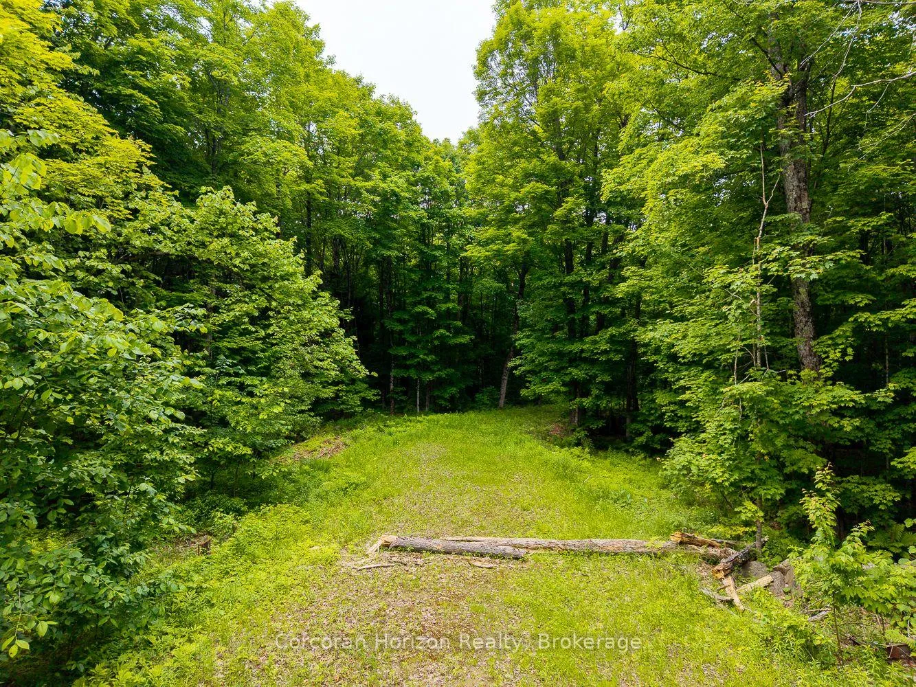 Photo 34 of Part 4 118 Highway E, Bracebridge, Oakley — HOMEH