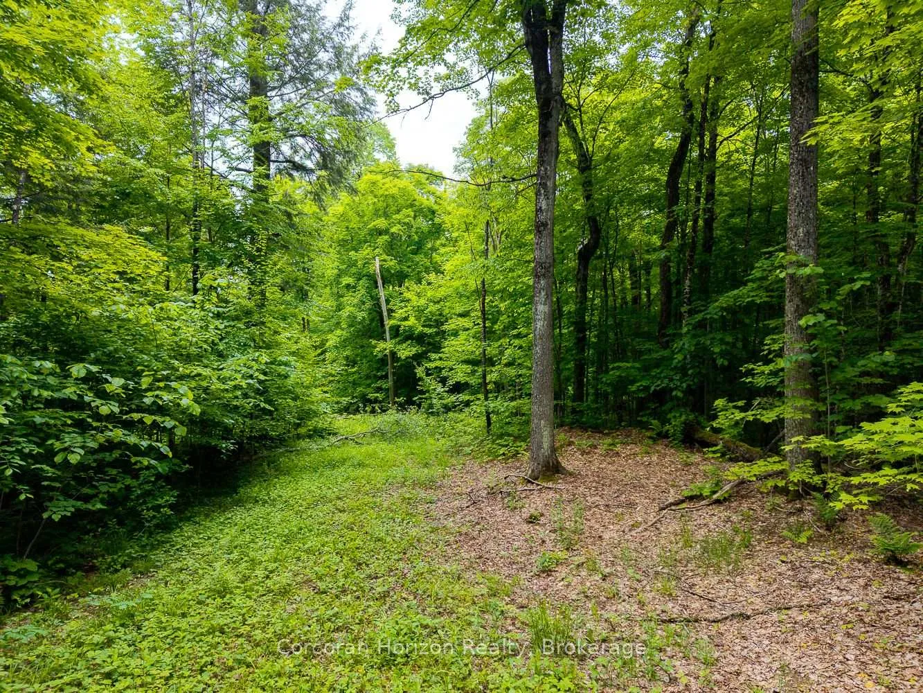 Photo 35 of Part 4 118 Highway E, Bracebridge, Oakley — HOMEH