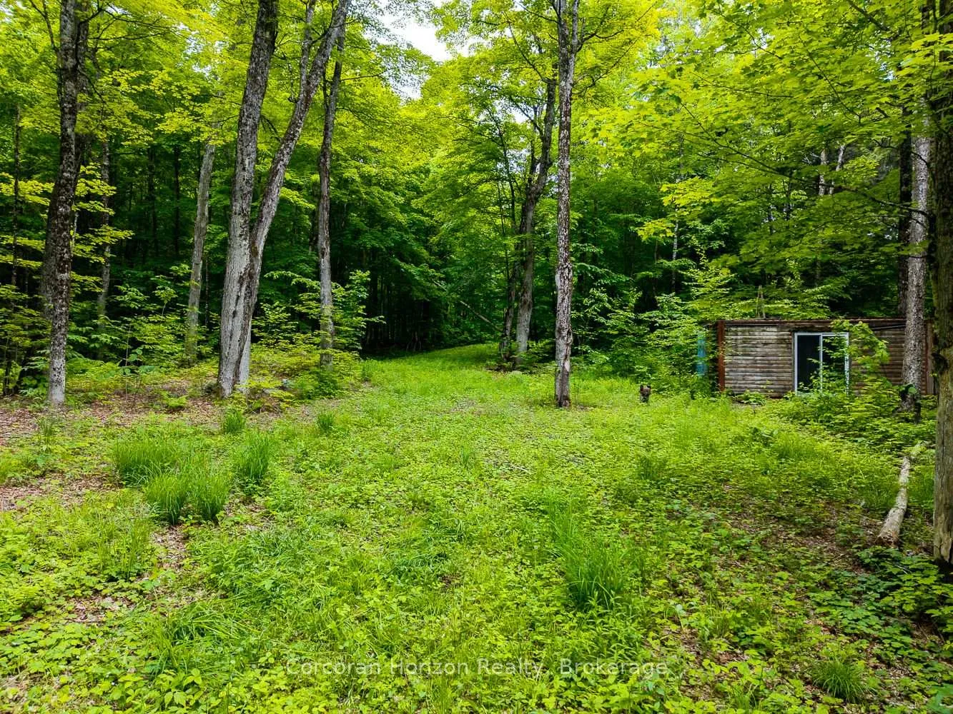Photo 36 of Part 4 118 Highway E, Bracebridge, Oakley — HOMEH