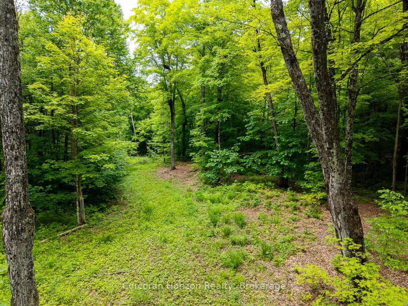 Photo 39 of Part 4 118 Highway E, Bracebridge, Oakley — HOMEH