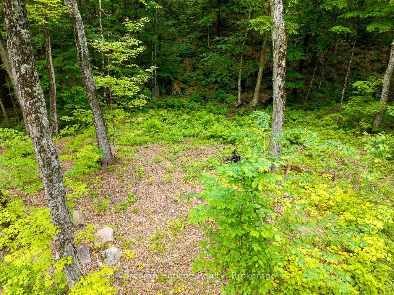 Photo 40 of Part 4 118 Highway E, Bracebridge, Oakley — HOMEH