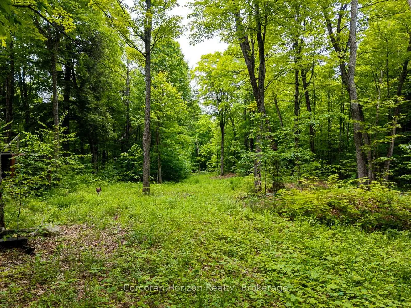 Photo 41 of Part 4 118 Highway E, Bracebridge, Oakley — HOMEH