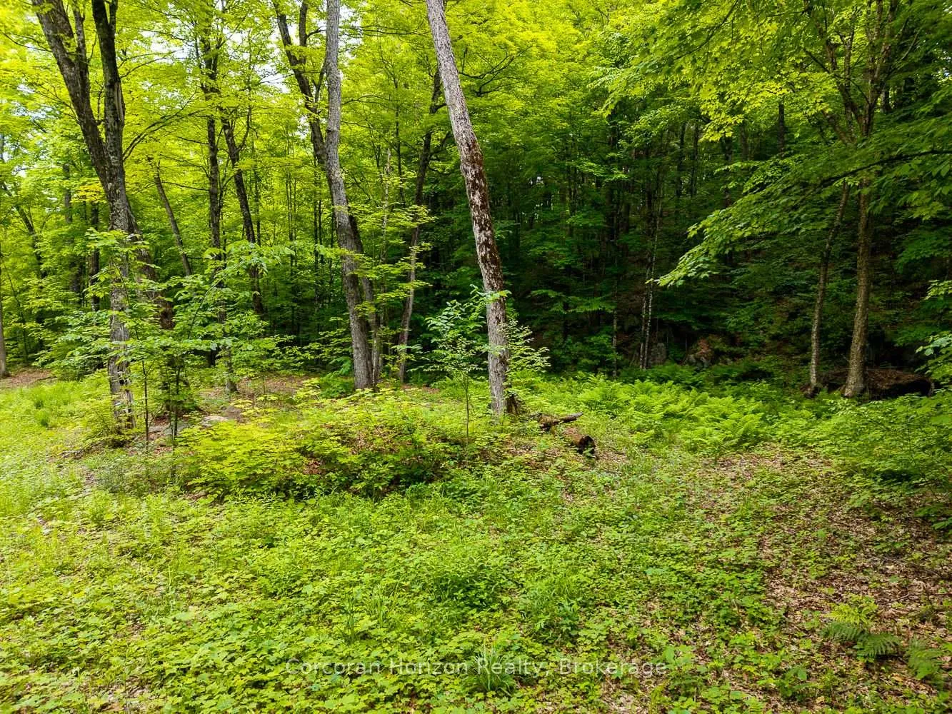 Photo 42 of Part 4 118 Highway E, Bracebridge, Oakley — HOMEH