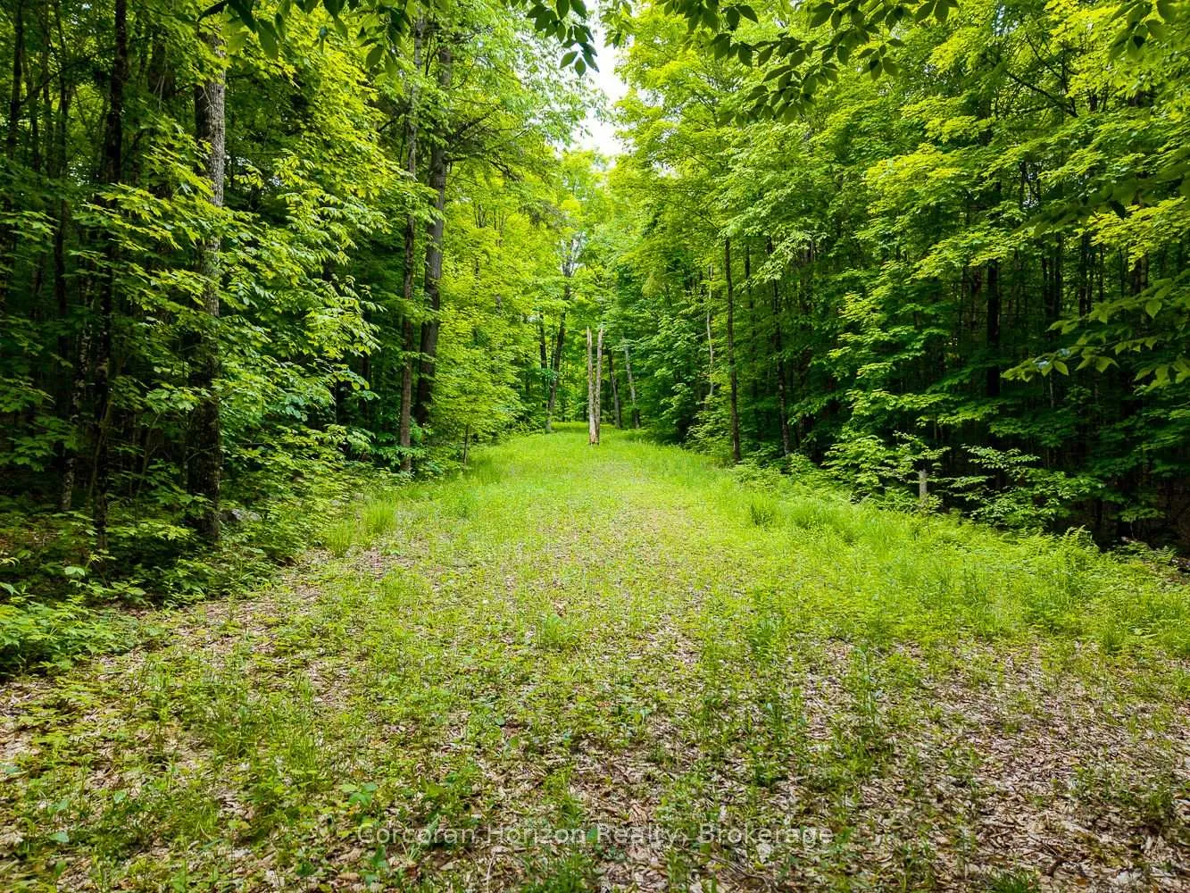 Photo 44 of Part 4 118 Highway E, Bracebridge, Oakley — HOMEH