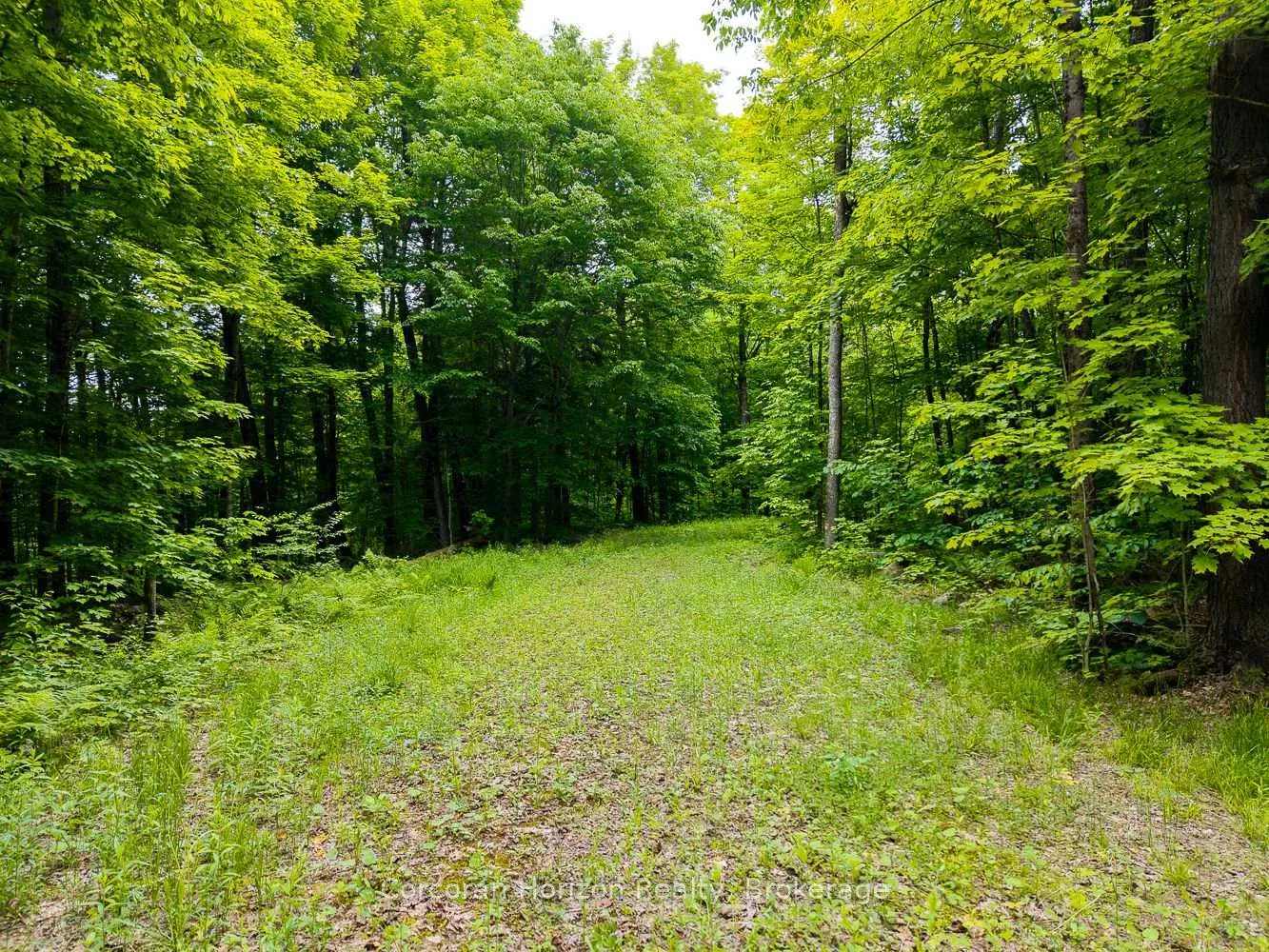 Photo 45 of Part 4 118 Highway E, Bracebridge, Oakley — HOMEH