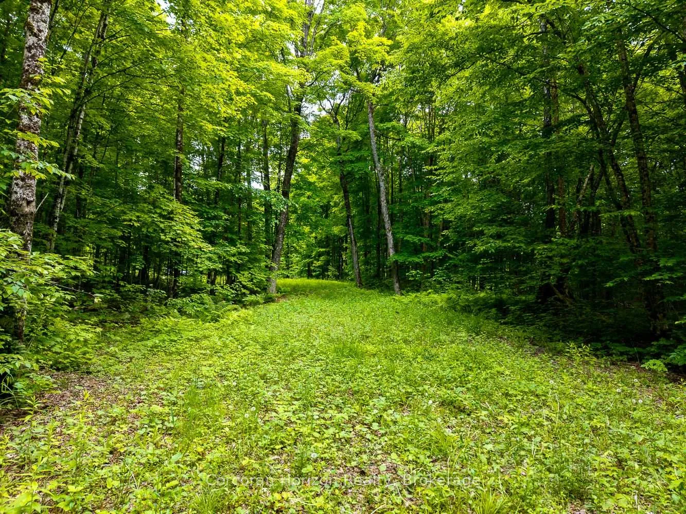 Photo 46 of Part 4 118 Highway E, Bracebridge, Oakley — HOMEH