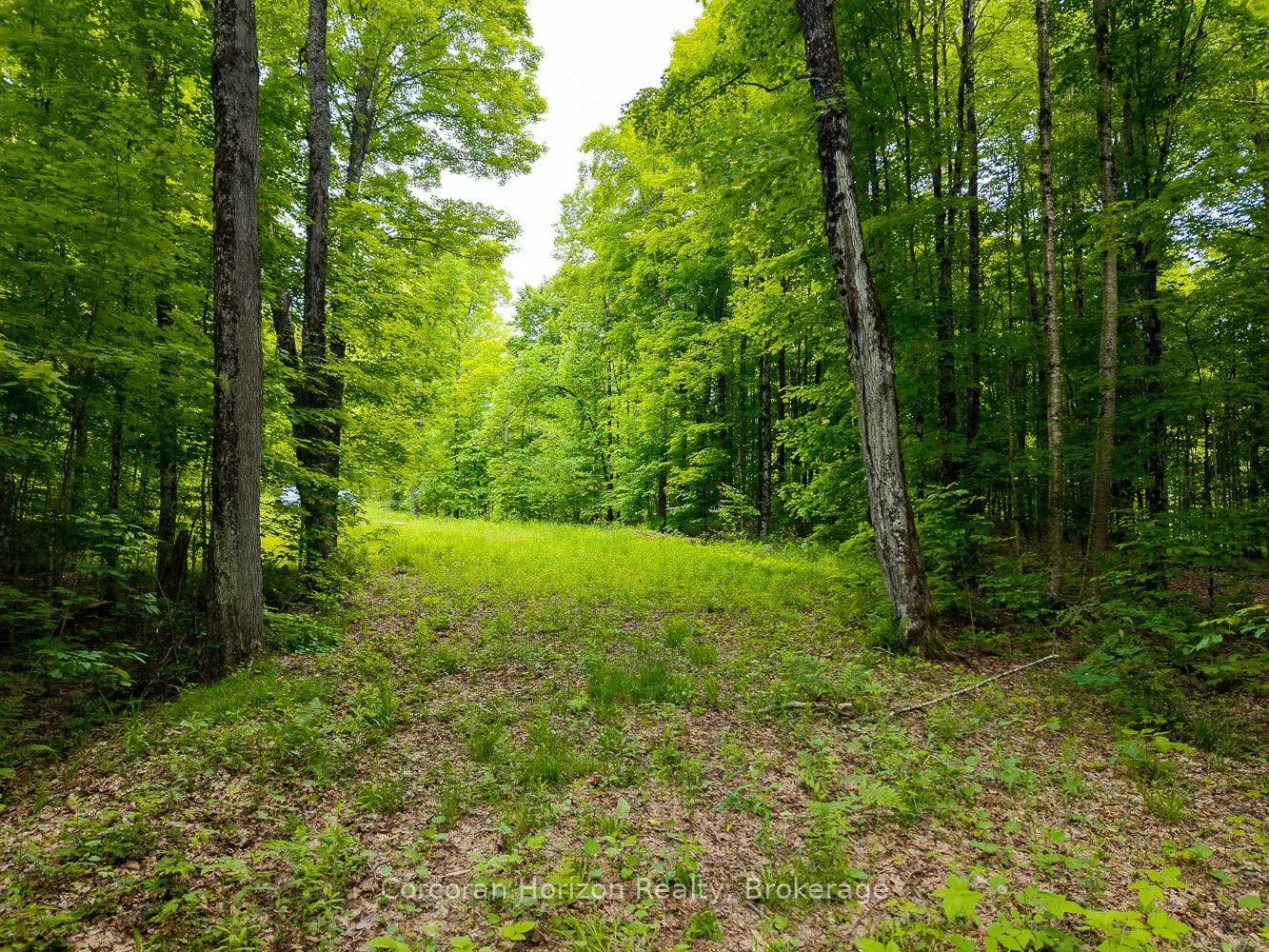 Photo 47 of Part 4 118 Highway E, Bracebridge, Oakley — HOMEH