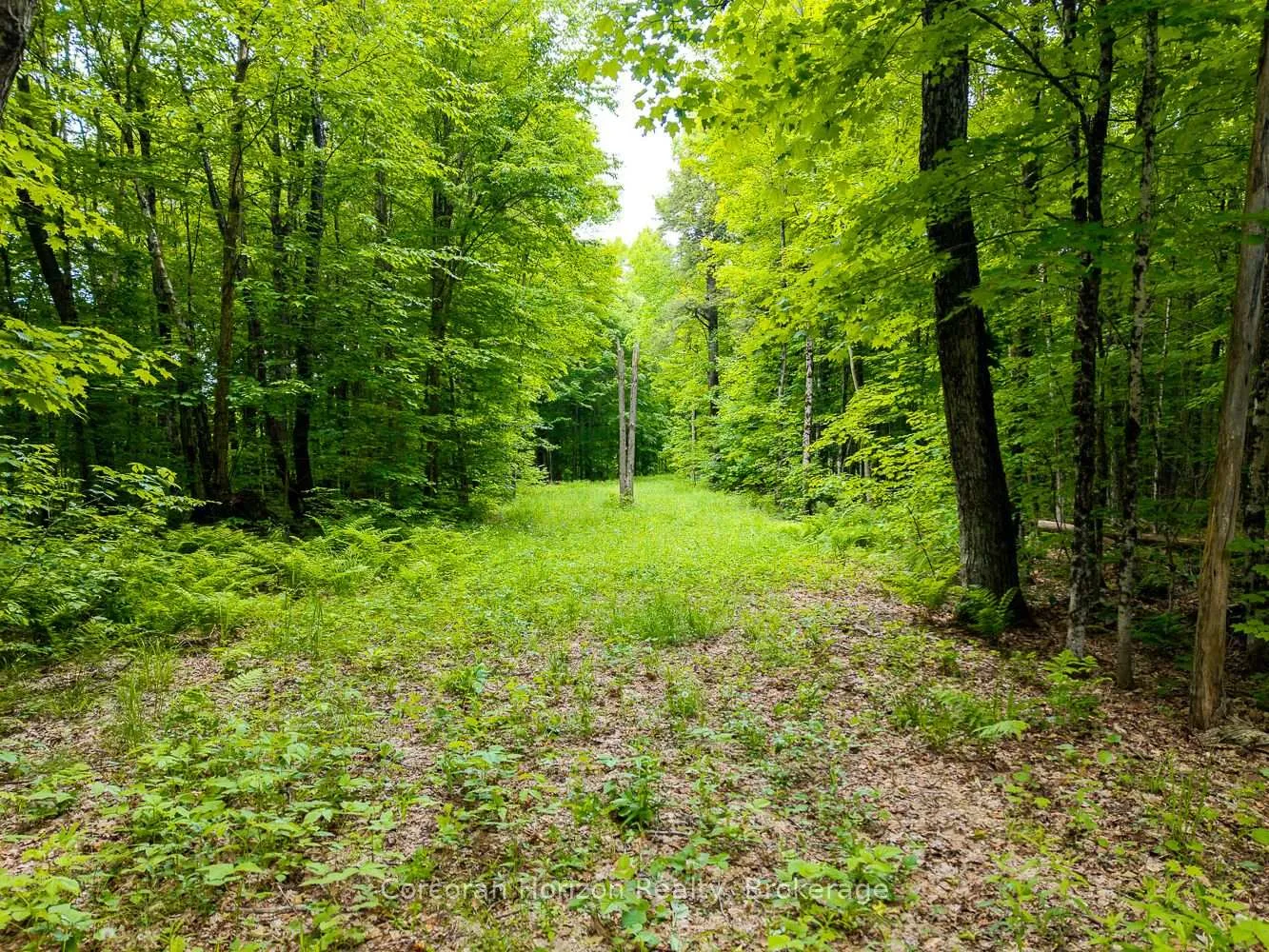 Photo 48 of Part 4 118 Highway E, Bracebridge, Oakley — HOMEH