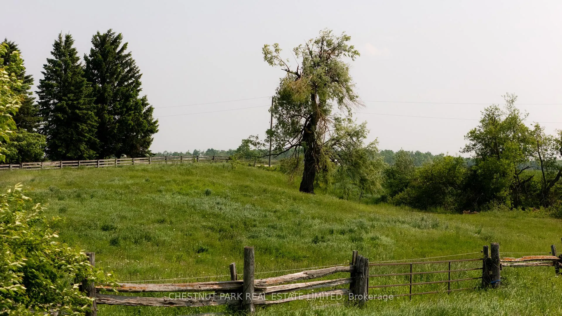 Photo 30 of 676400 Centre Road, Mulmur, Rural Mulmur — HOMEH