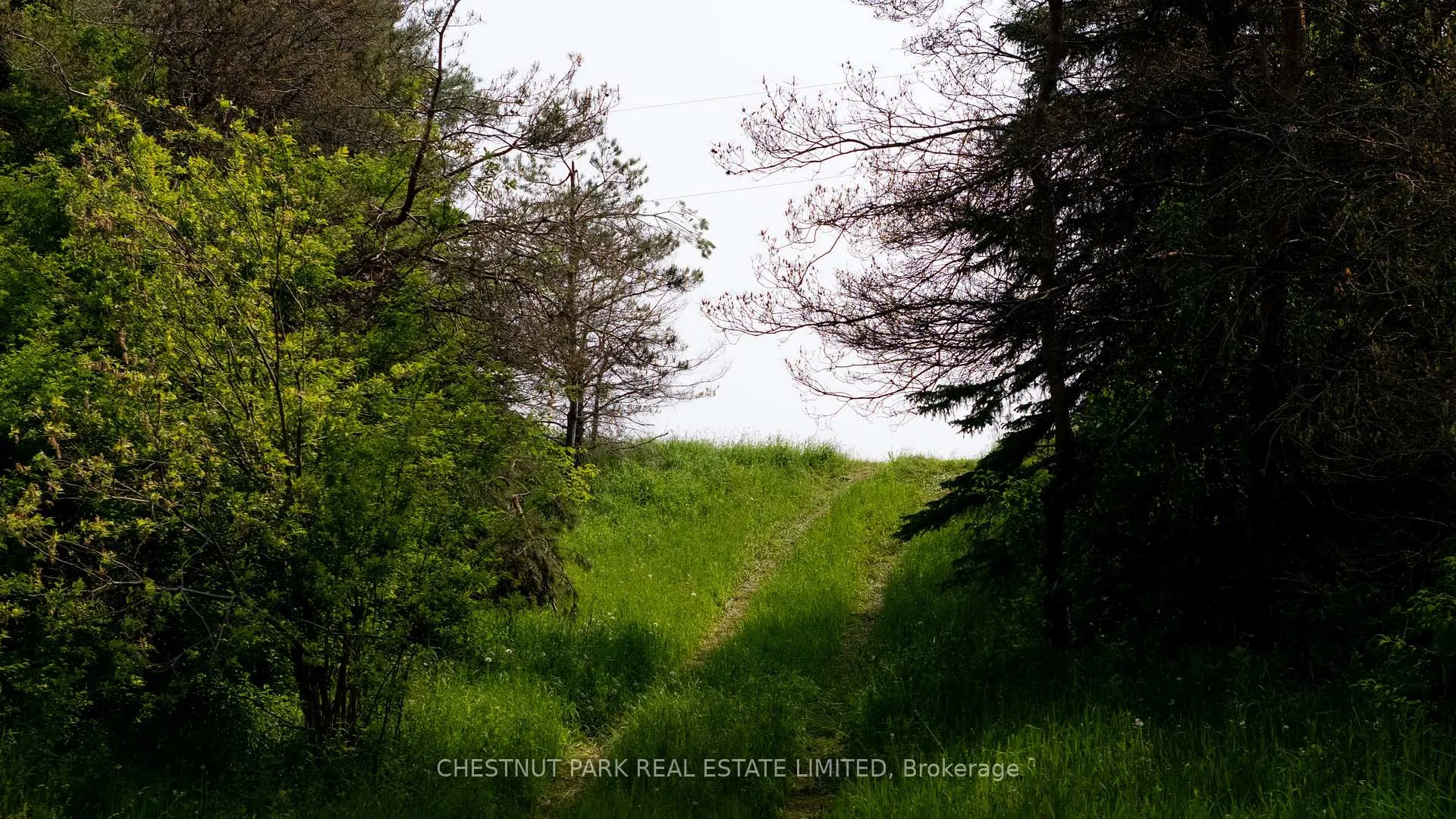 Photo 31 of 676400 Centre Road, Mulmur, Rural Mulmur — HOMEH