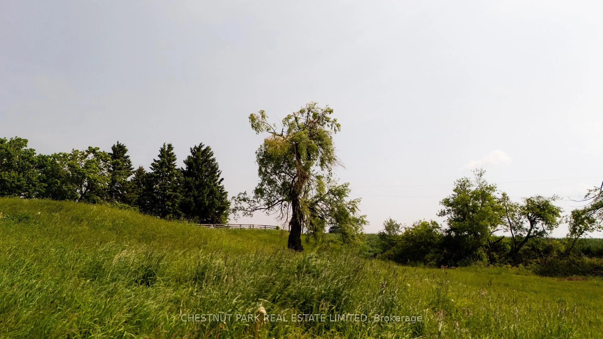 Photo 36 of 676400 Centre Road, Mulmur, Rural Mulmur — HOMEH