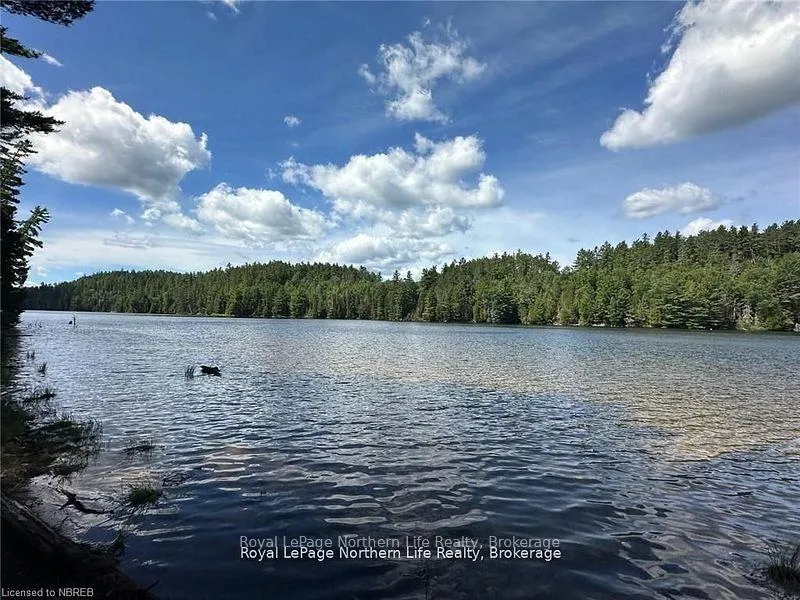Photo 5 of 11515 Rabbit Lake, Temagami — HOMEH