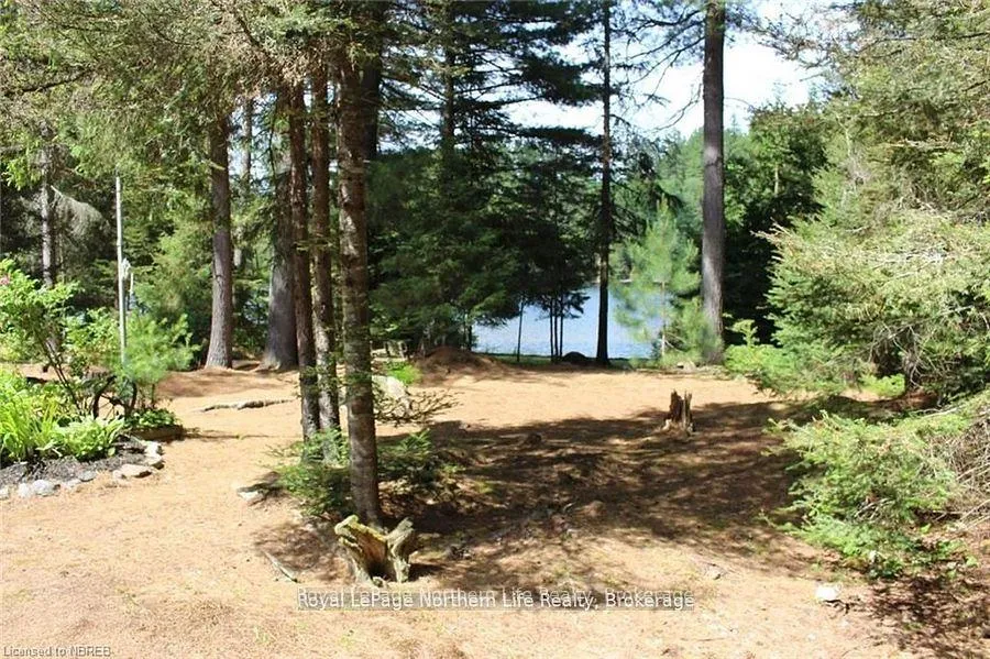 Photo 7 of 11515 Rabbit Lake, Temagami — HOMEH