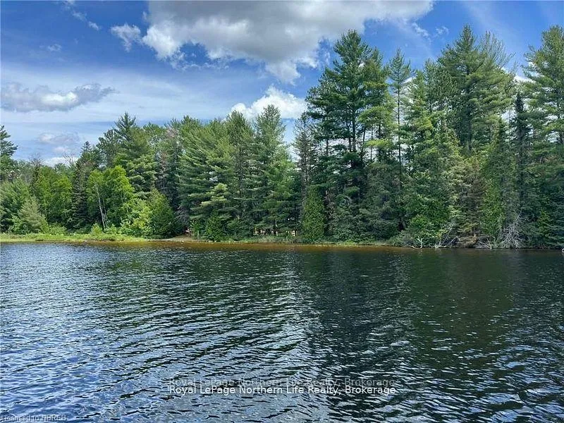 Photo 46 of 11515 Rabbit Lake, Temagami — HOMEH