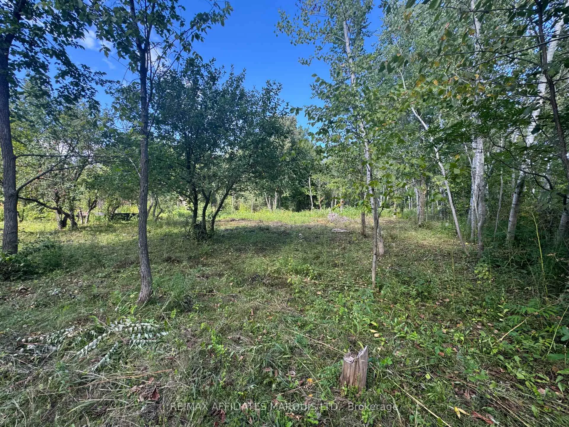 Photo 2 of LOT Lapierre Road, South Glengarry, South Glengarry (Charlottenburgh) Twp — HOMEH
