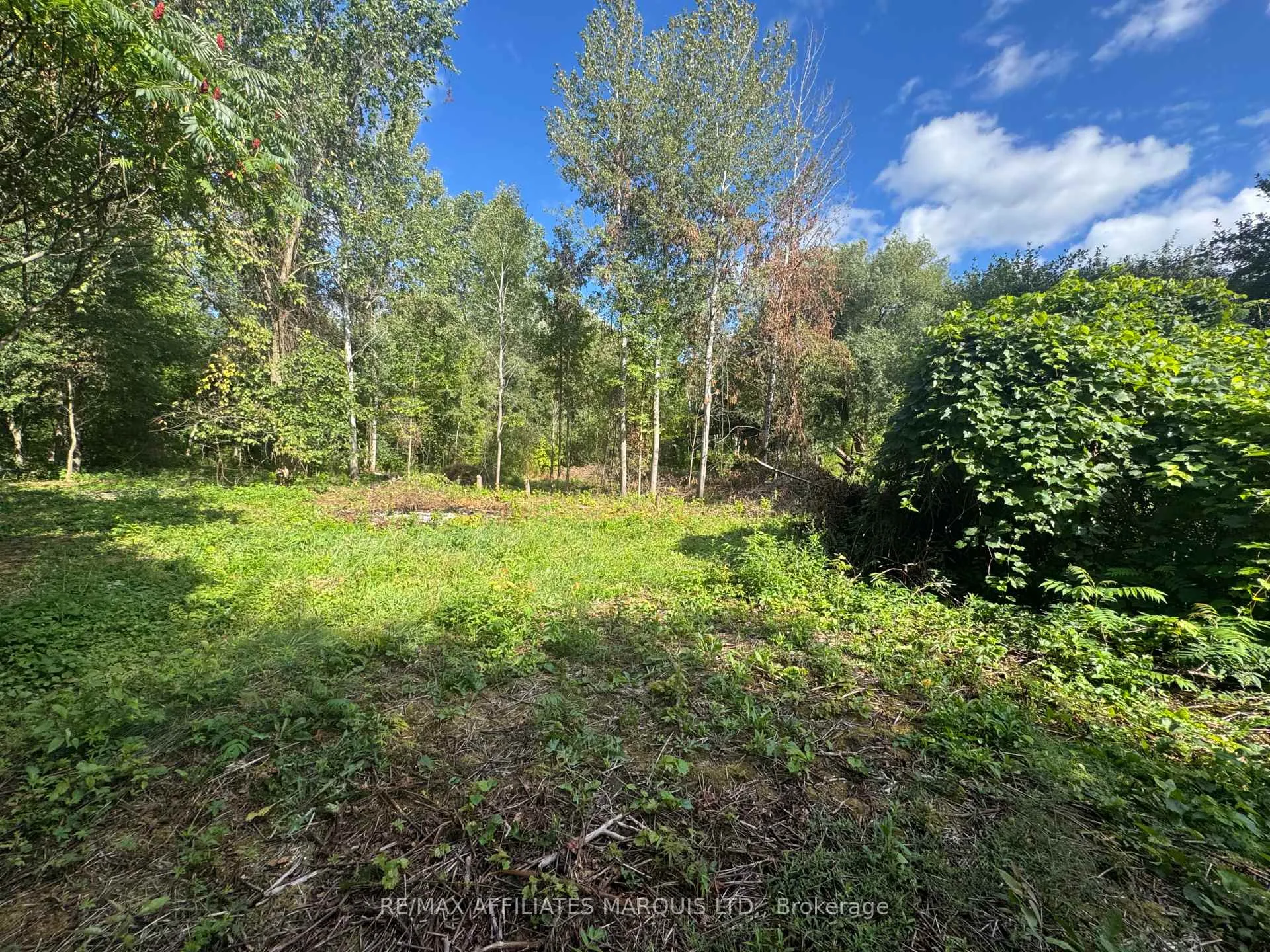 Photo 3 of LOT Lapierre Road, South Glengarry, South Glengarry (Charlottenburgh) Twp — HOMEH