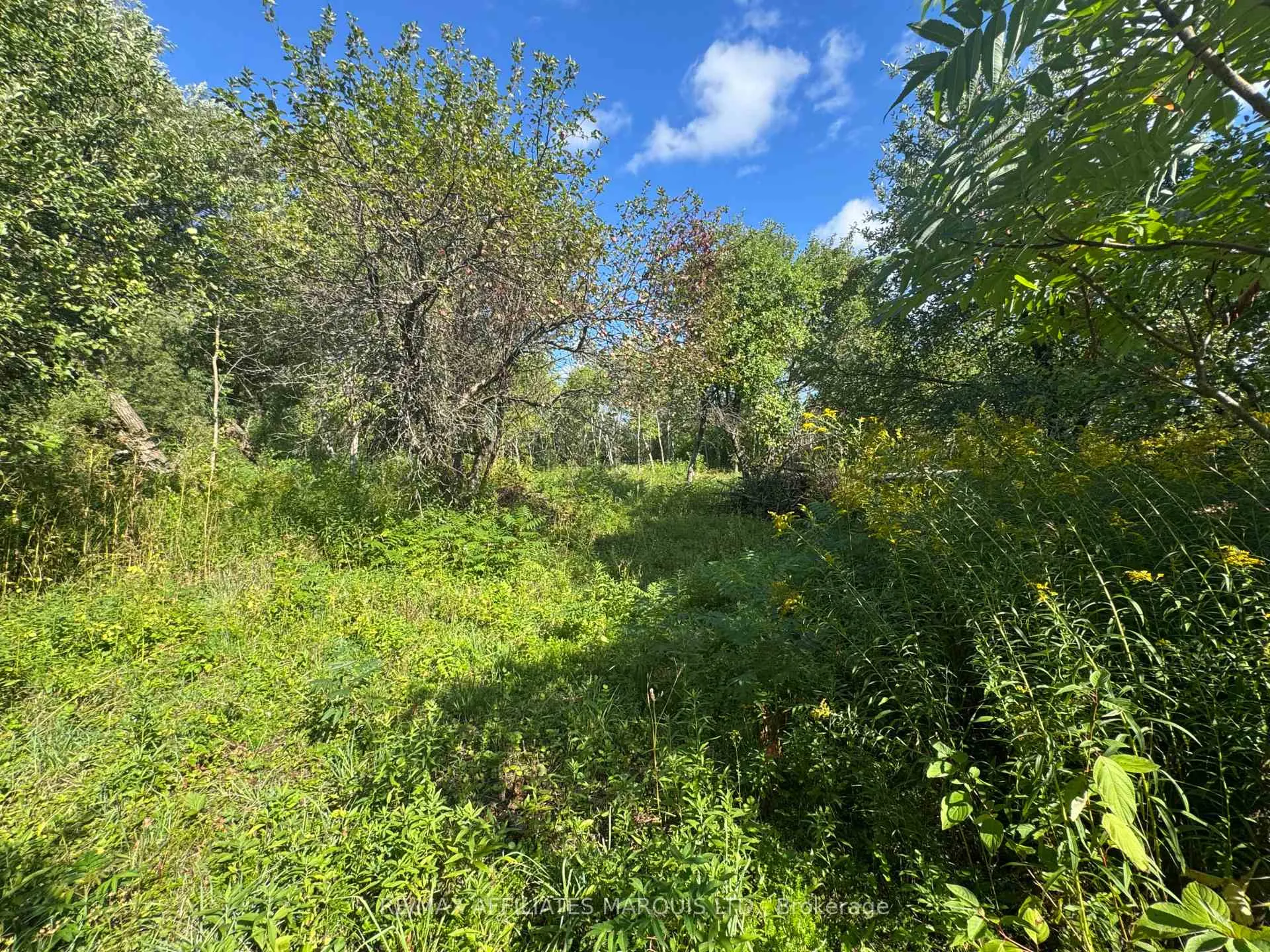 Photo 4 of LOT Lapierre Road, South Glengarry, South Glengarry (Charlottenburgh) Twp — HOMEH
