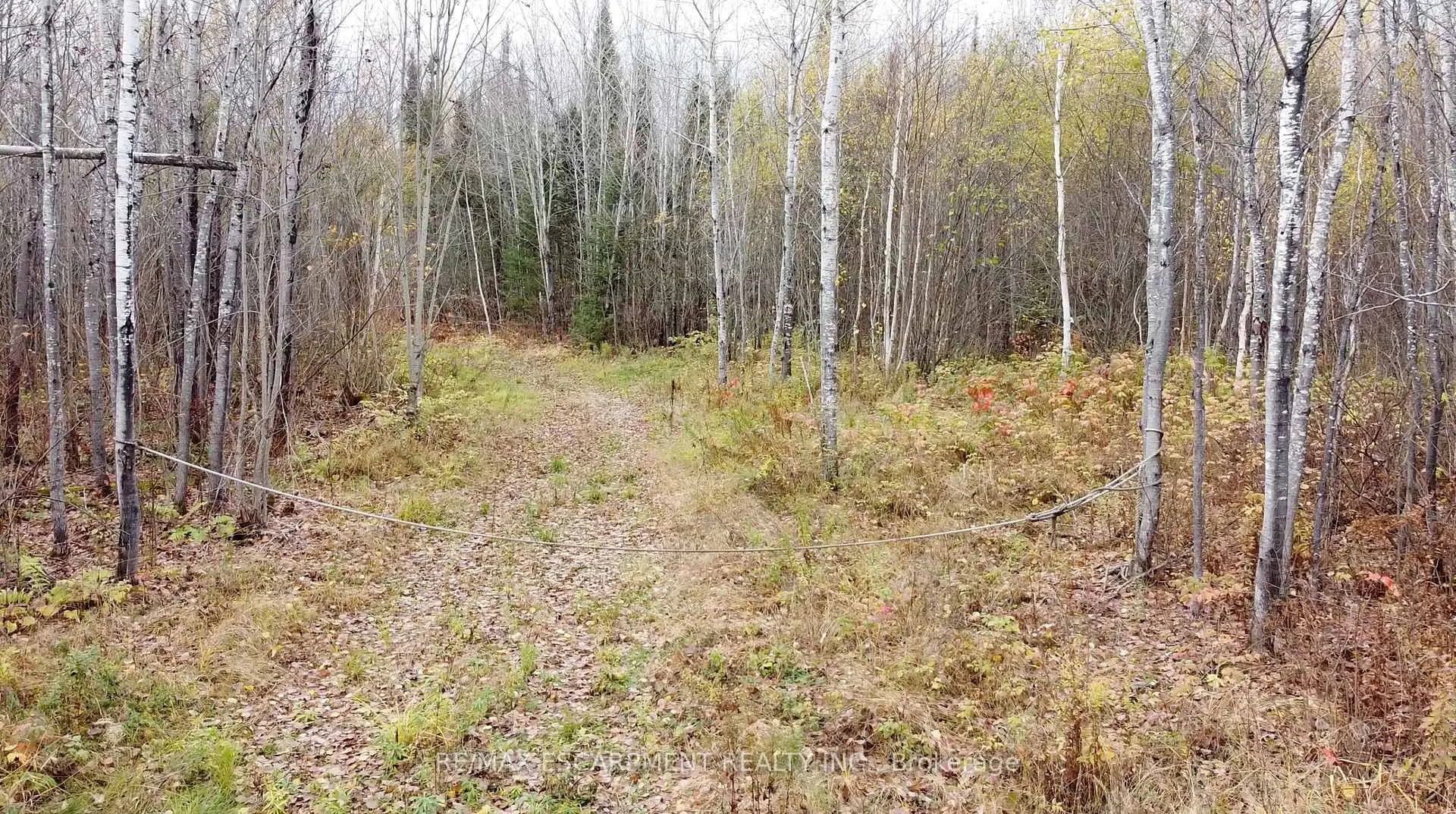 Photo 3 of PT LT 11 Concession 6th Road, Calvin — HOMEH