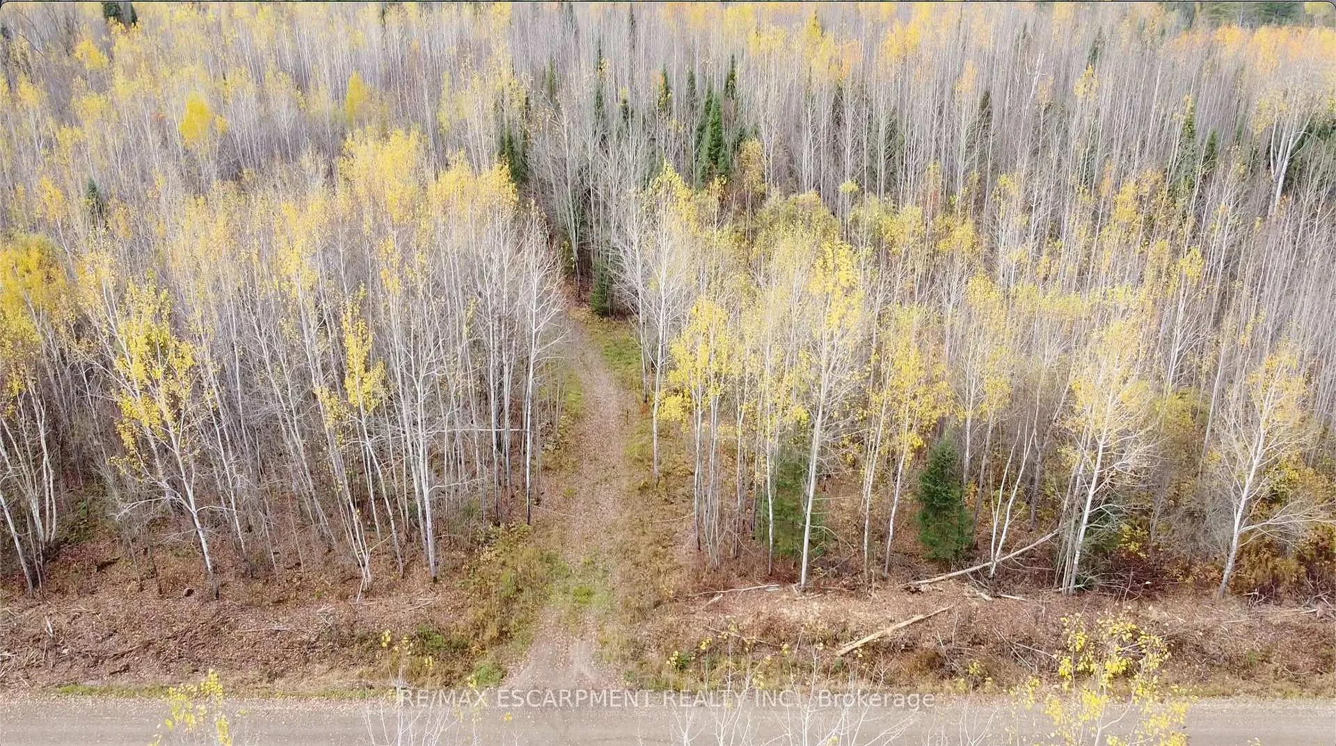 Photo 5 of PT LT 11 Concession 6th Road, Calvin — HOMEH