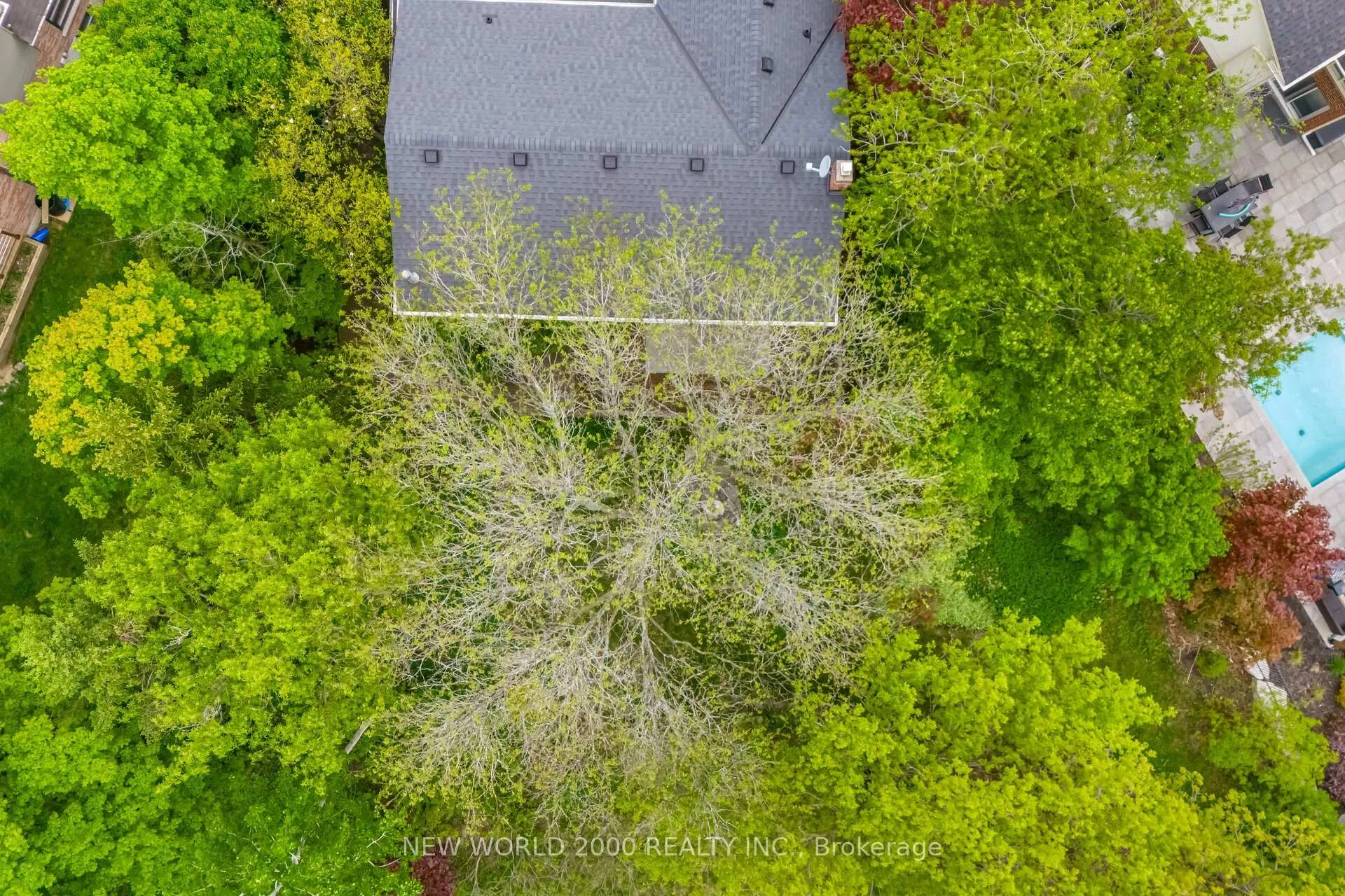 Photo 33 of 254 Maidstone Court, Caledon, Bolton North — HOMEH