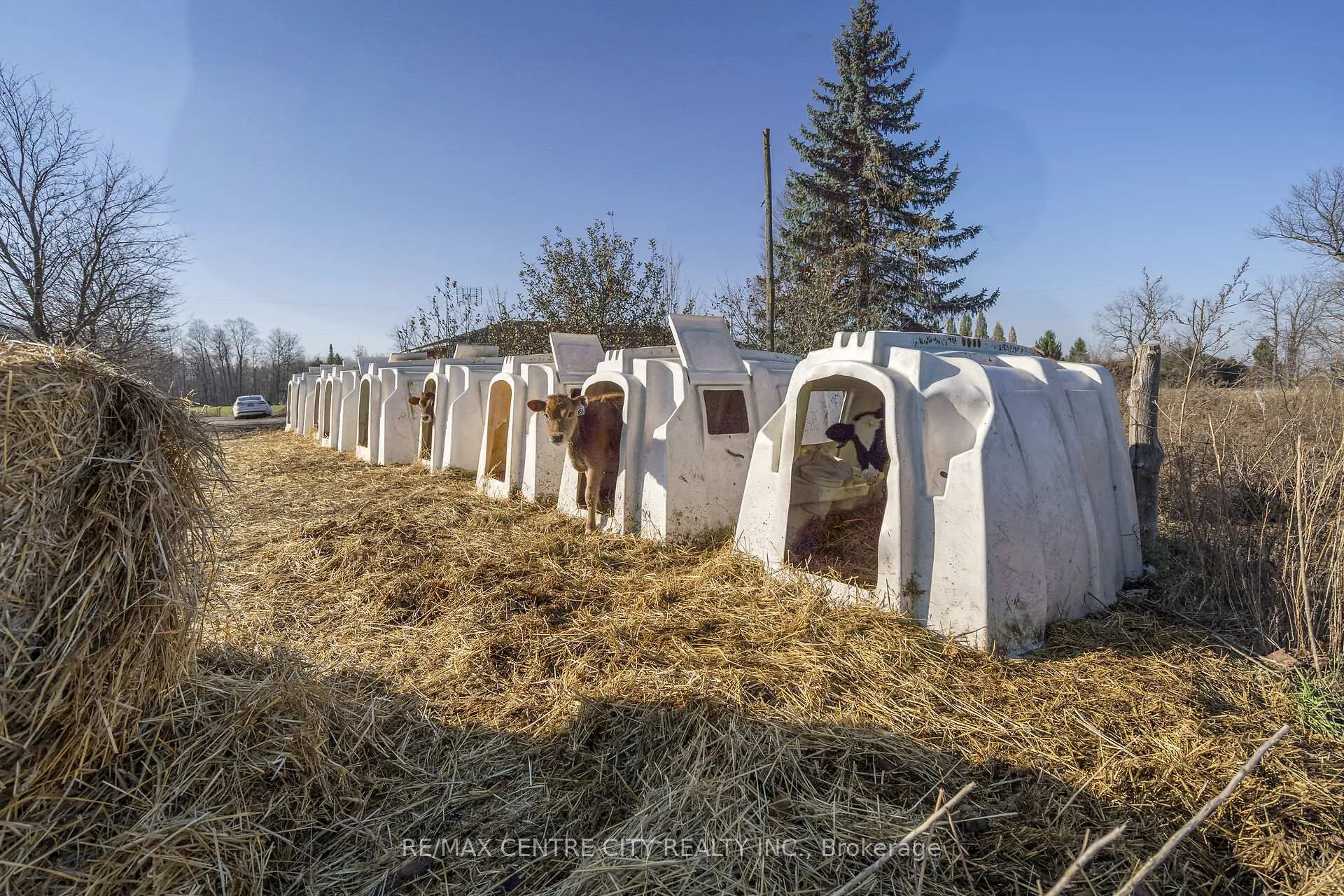 Photo 20 of 1177 Beitz Road, Woolwich — HOMEH