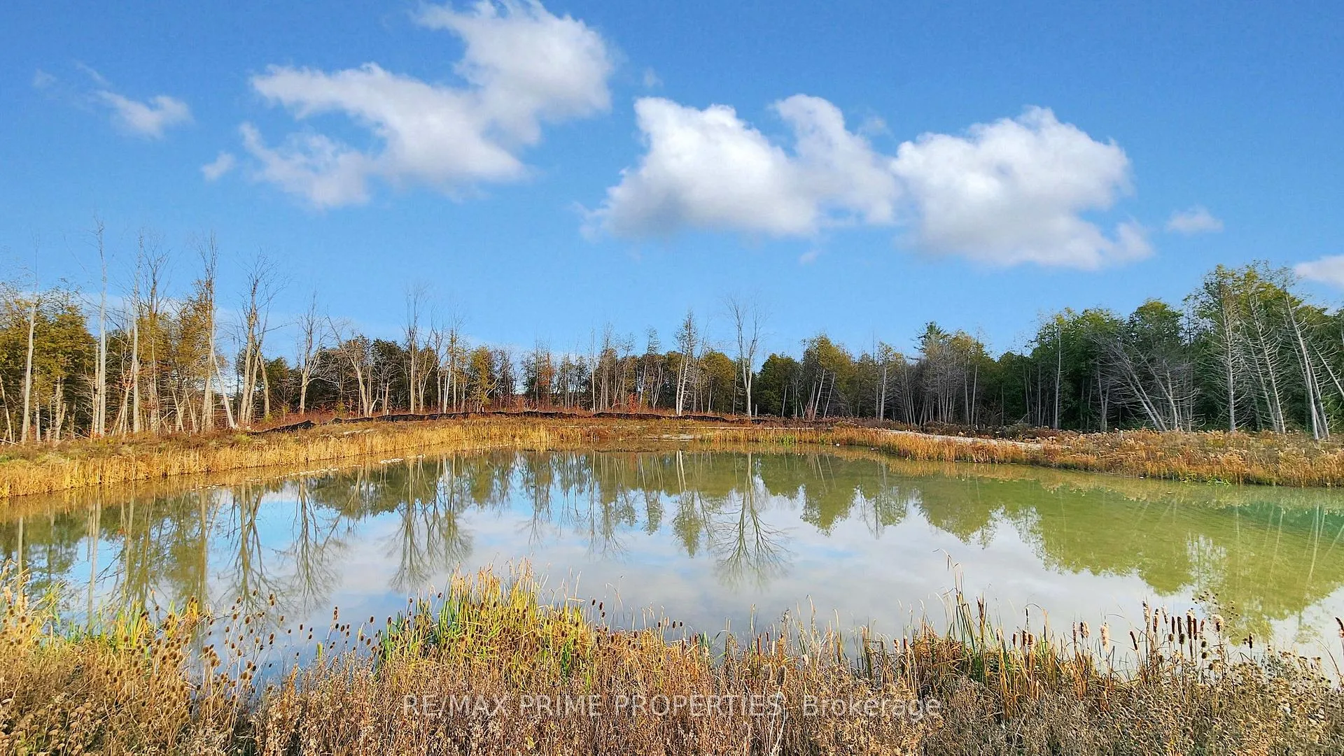 Photo 50 of 113 Blue Forest Crescent, Barrie, Innis-Shore — HOMEH