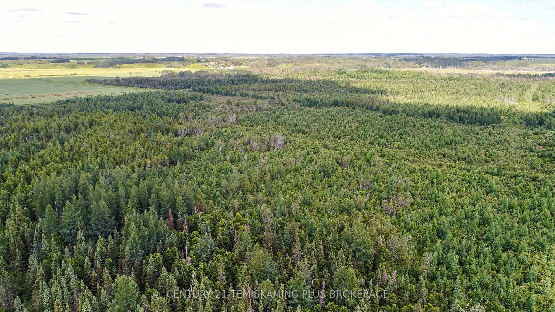 Photo 6 of 021350 Beach Road, Timiskaming, TIM - Outside - Rural — HOMEH