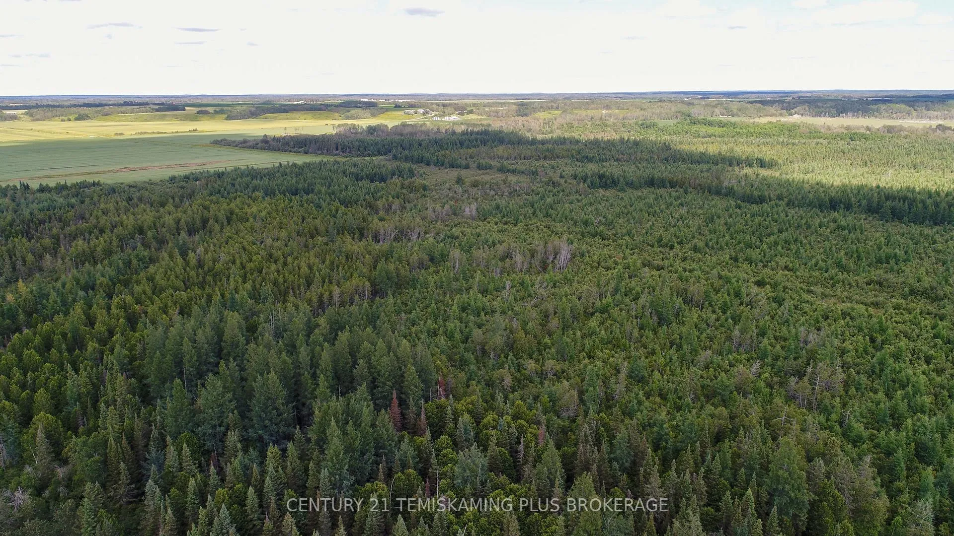 Photo 7 of 021350 Beach Road, Timiskaming, TIM - Outside - Rural — HOMEH
