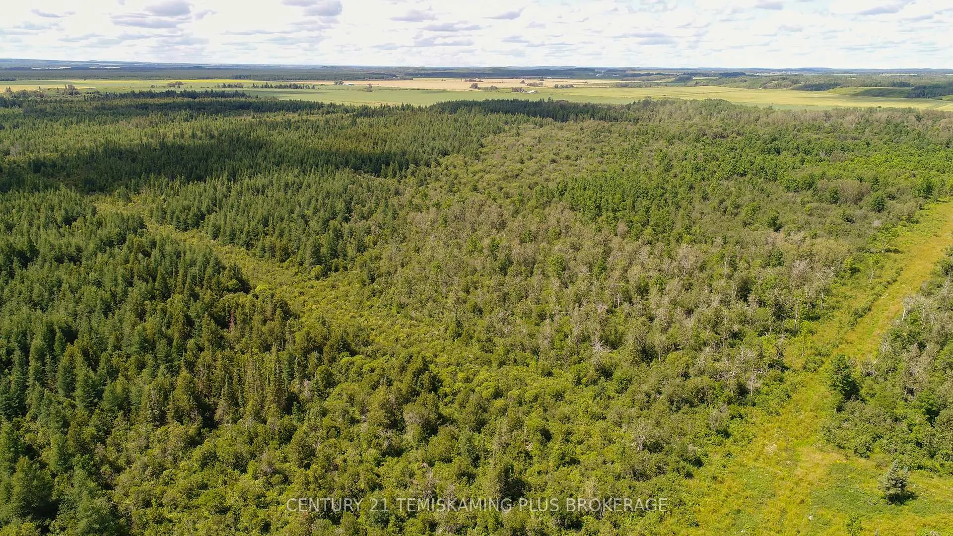Photo 10 of 021350 Beach Road, Timiskaming, TIM - Outside - Rural — HOMEH