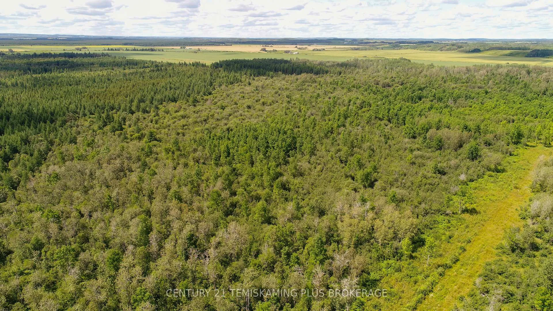 Photo 11 of 021350 Beach Road, Timiskaming, TIM - Outside - Rural — HOMEH