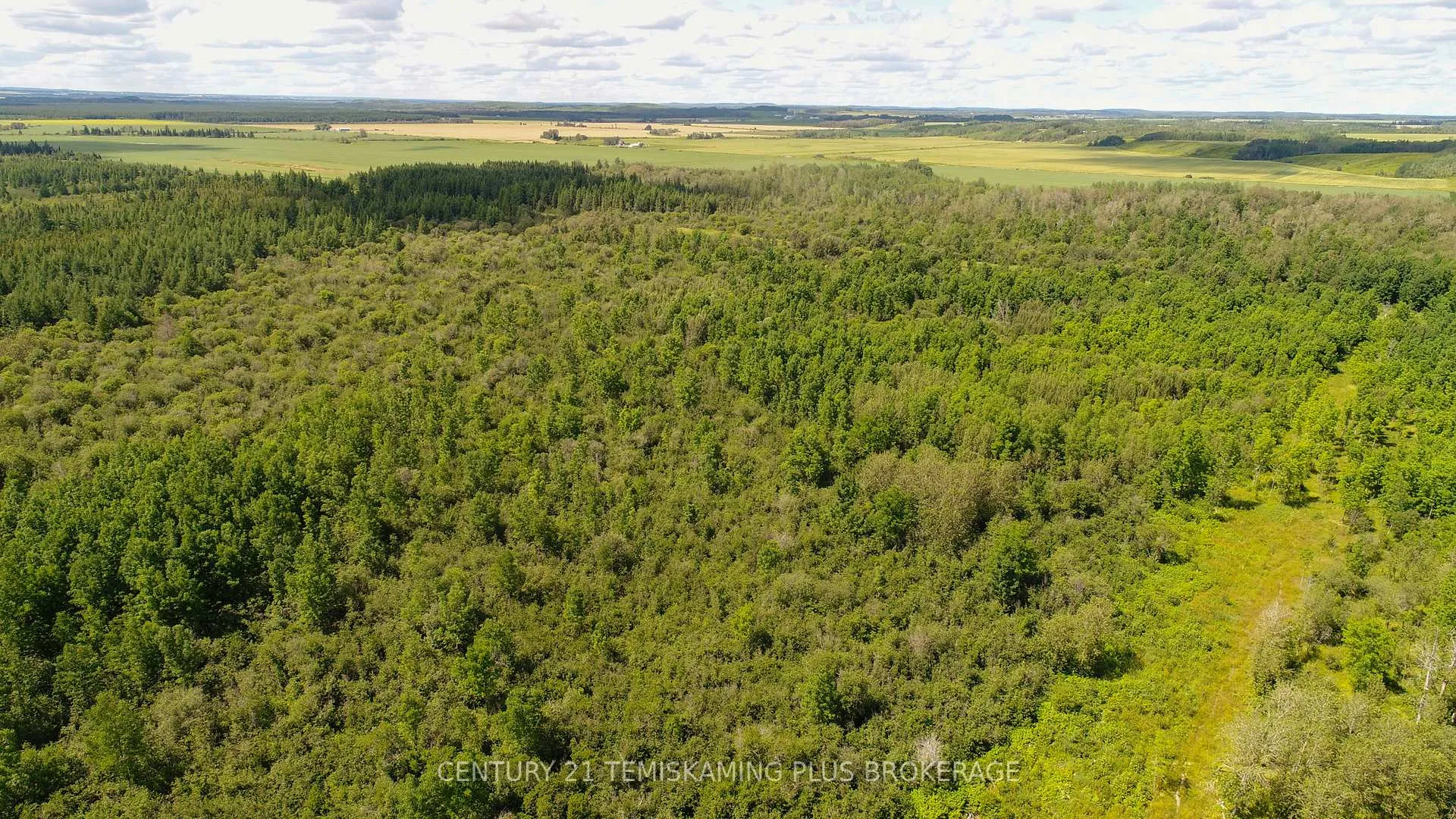 Photo 12 of 021350 Beach Road, Timiskaming, TIM - Outside - Rural — HOMEH