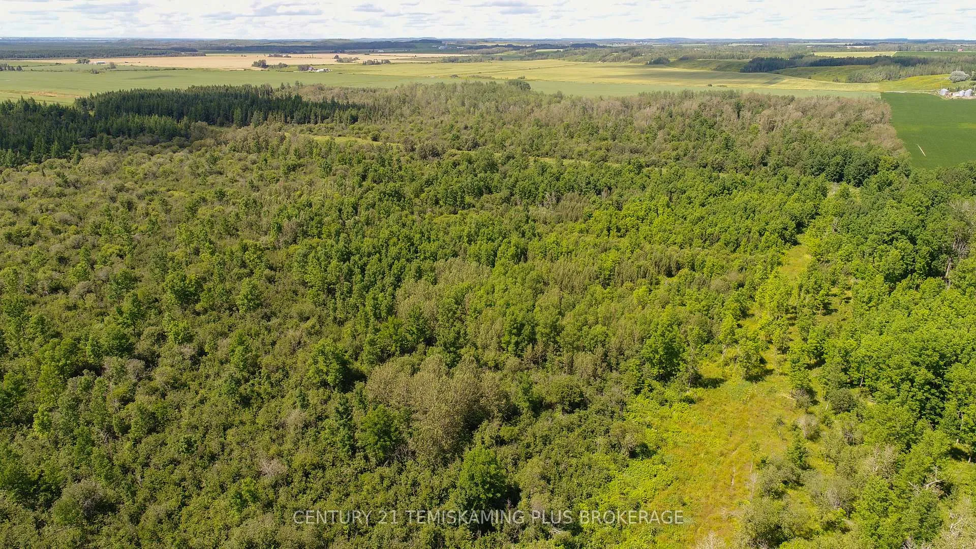 Photo 13 of 021350 Beach Road, Timiskaming, TIM - Outside - Rural — HOMEH