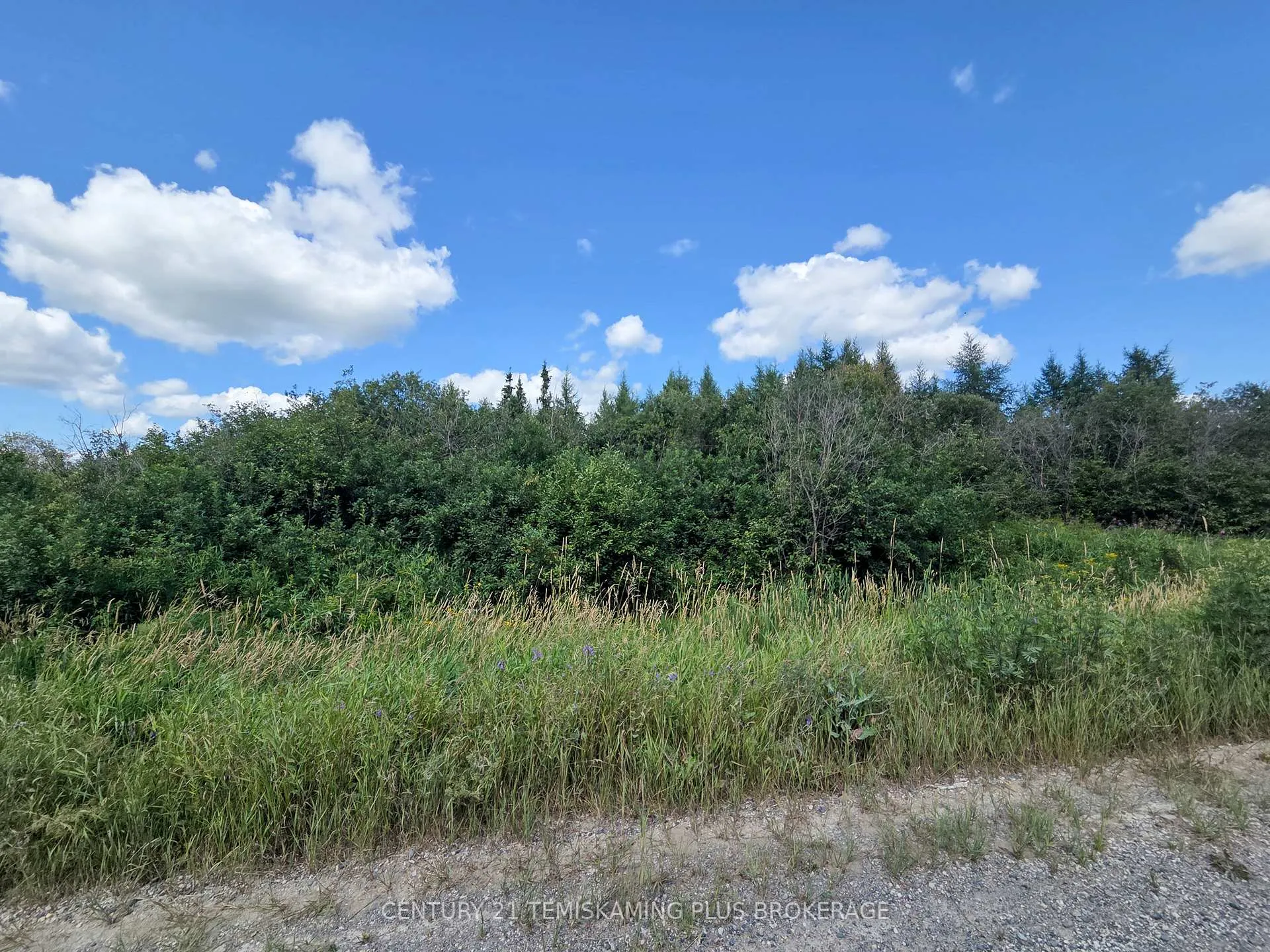 Photo 20 of 021350 Beach Road, Timiskaming, TIM - Outside - Rural — HOMEH