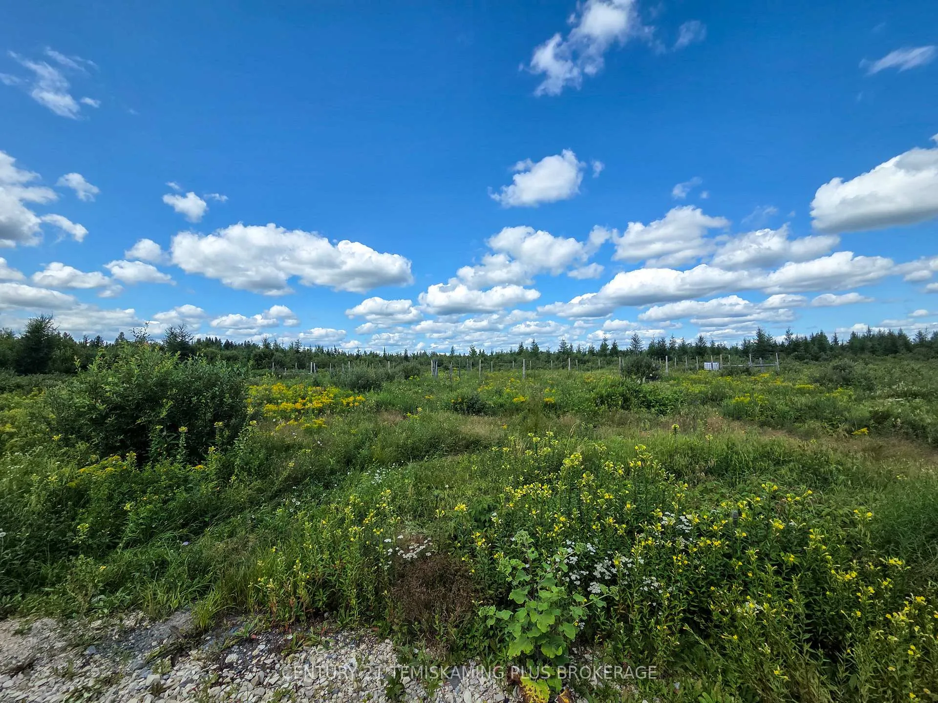 Photo 30 of 021350 Beach Road, Timiskaming, TIM - Outside - Rural — HOMEH
