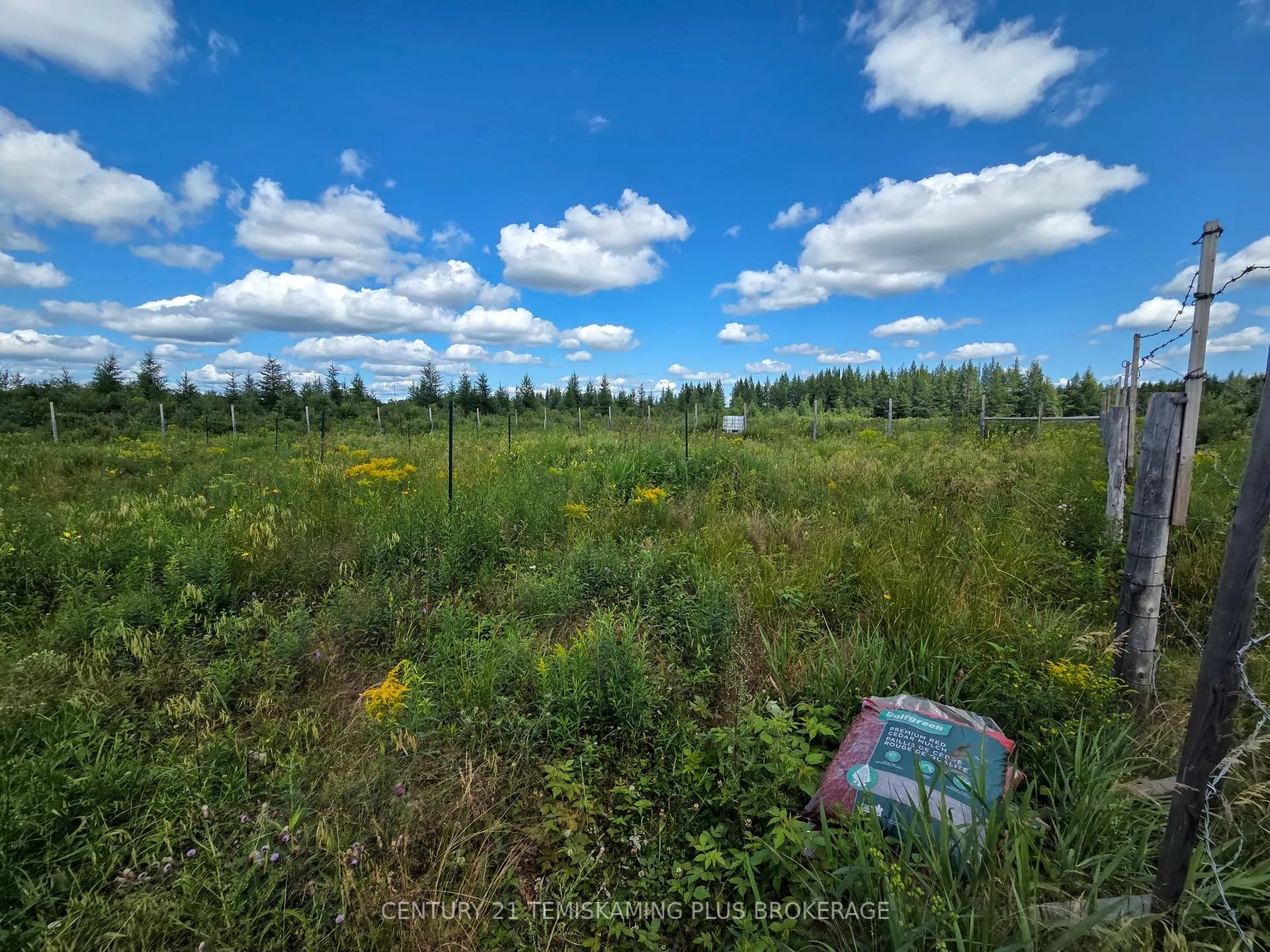 Photo 31 of 021350 Beach Road, Timiskaming, TIM - Outside - Rural — HOMEH