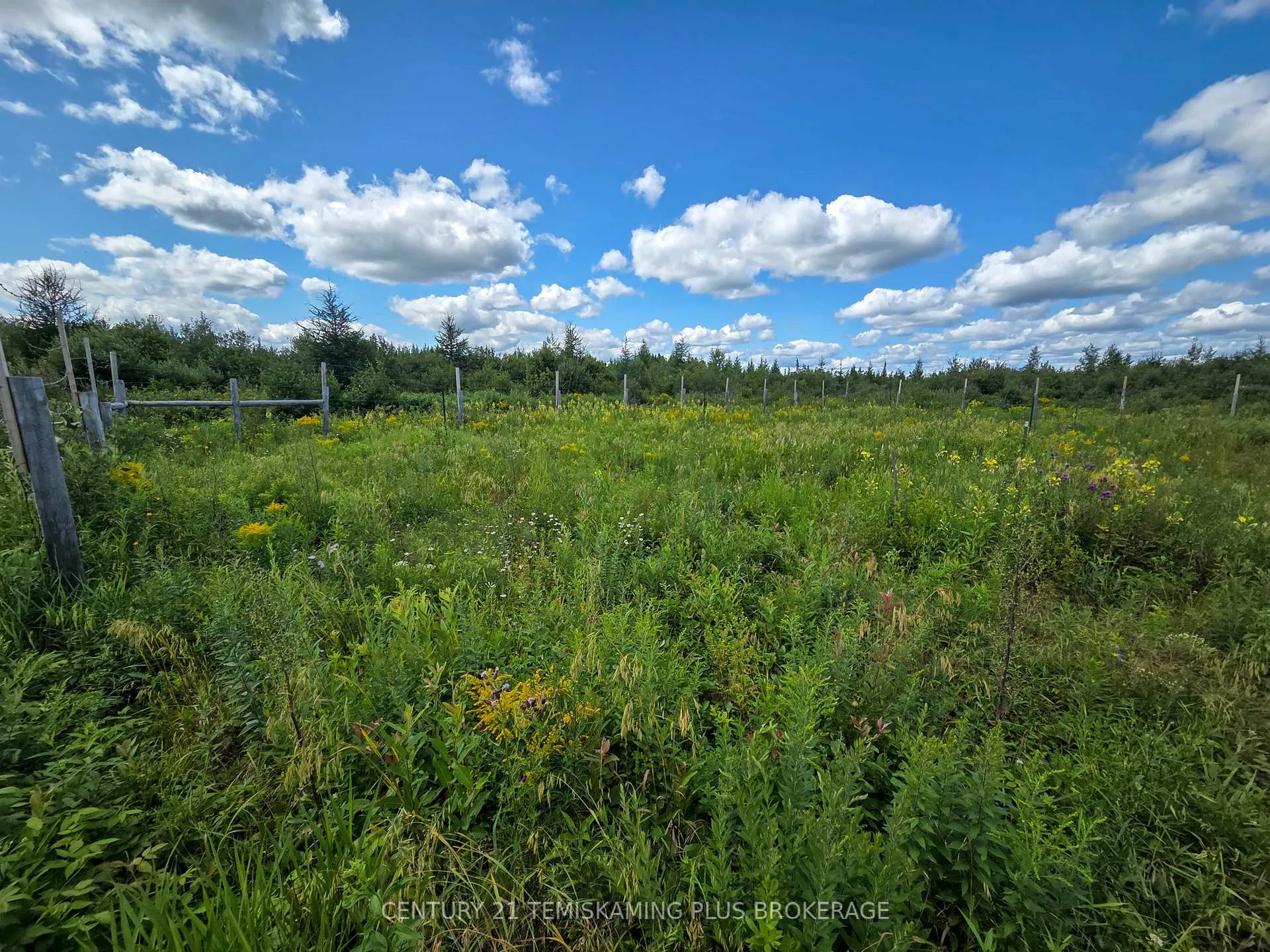 Photo 32 of 021350 Beach Road, Timiskaming, TIM - Outside - Rural — HOMEH