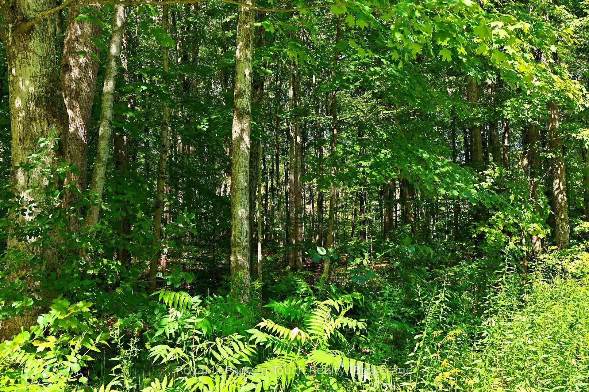 Photo 2 of Lot 52 Copeland Creek Drive, Tiny, Rural Tiny — HOMEH