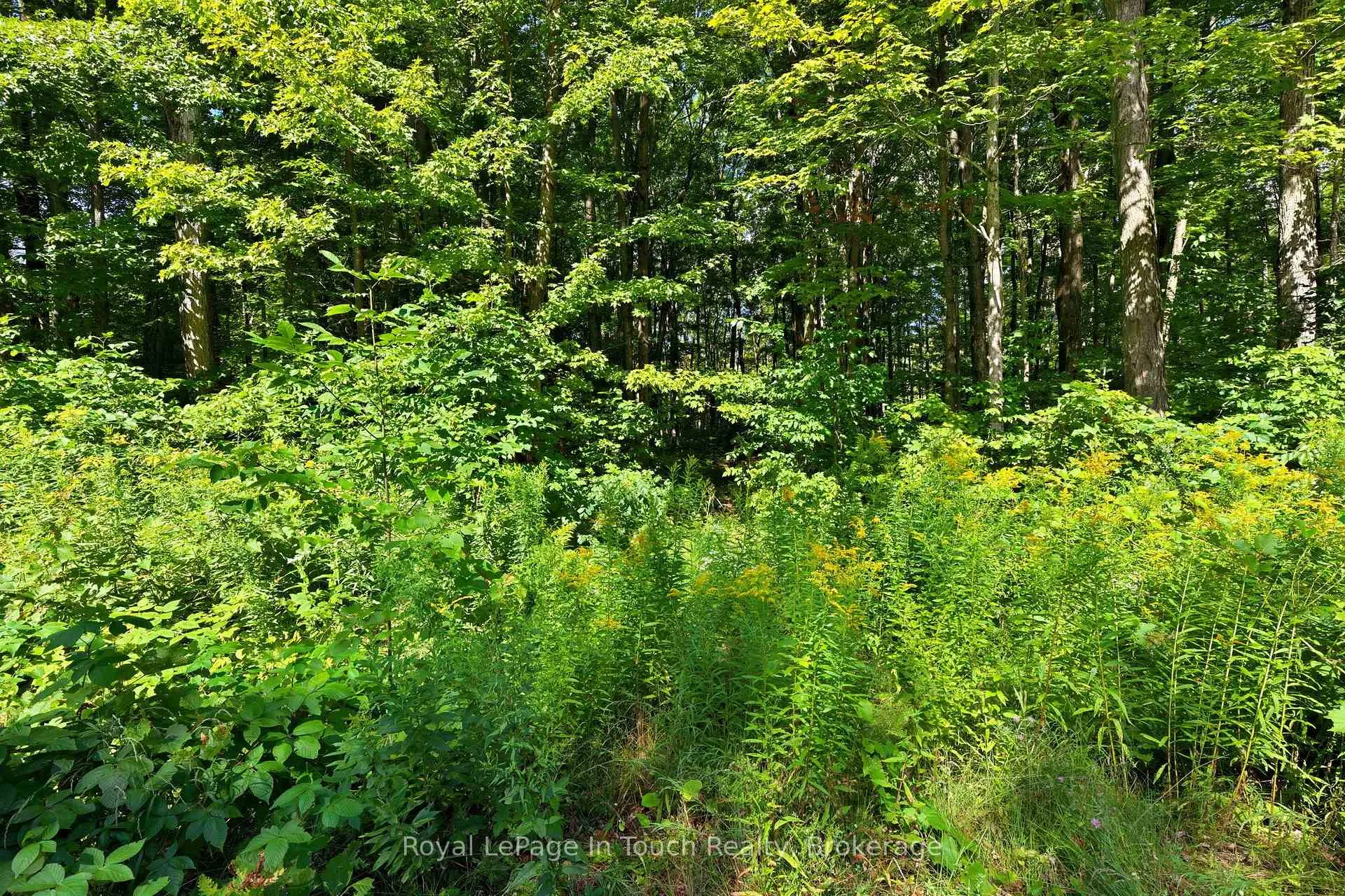 Photo 4 of Lot 52 Copeland Creek Drive, Tiny, Rural Tiny — HOMEH