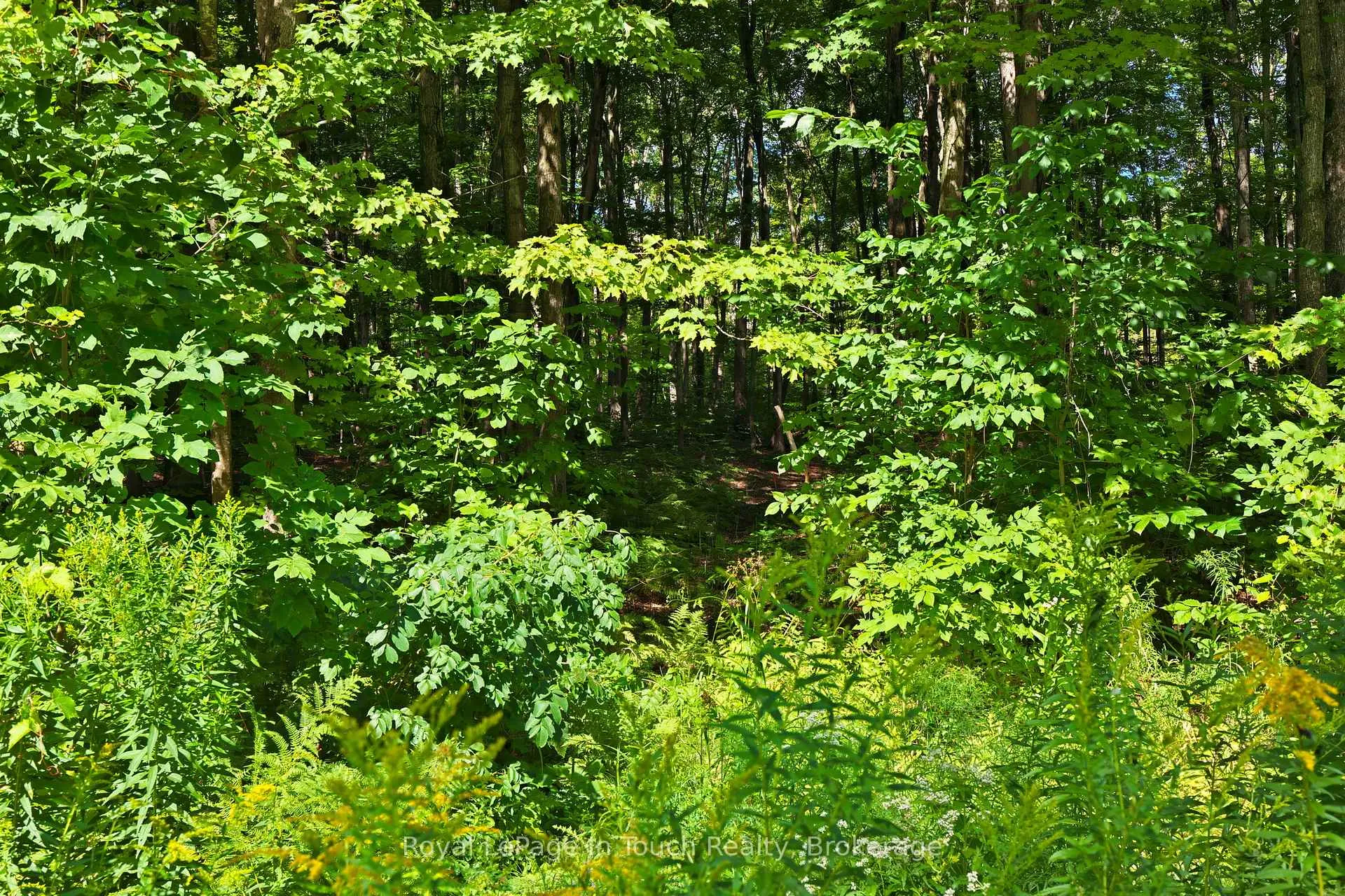 Photo 5 of Lot 52 Copeland Creek Drive, Tiny, Rural Tiny — HOMEH