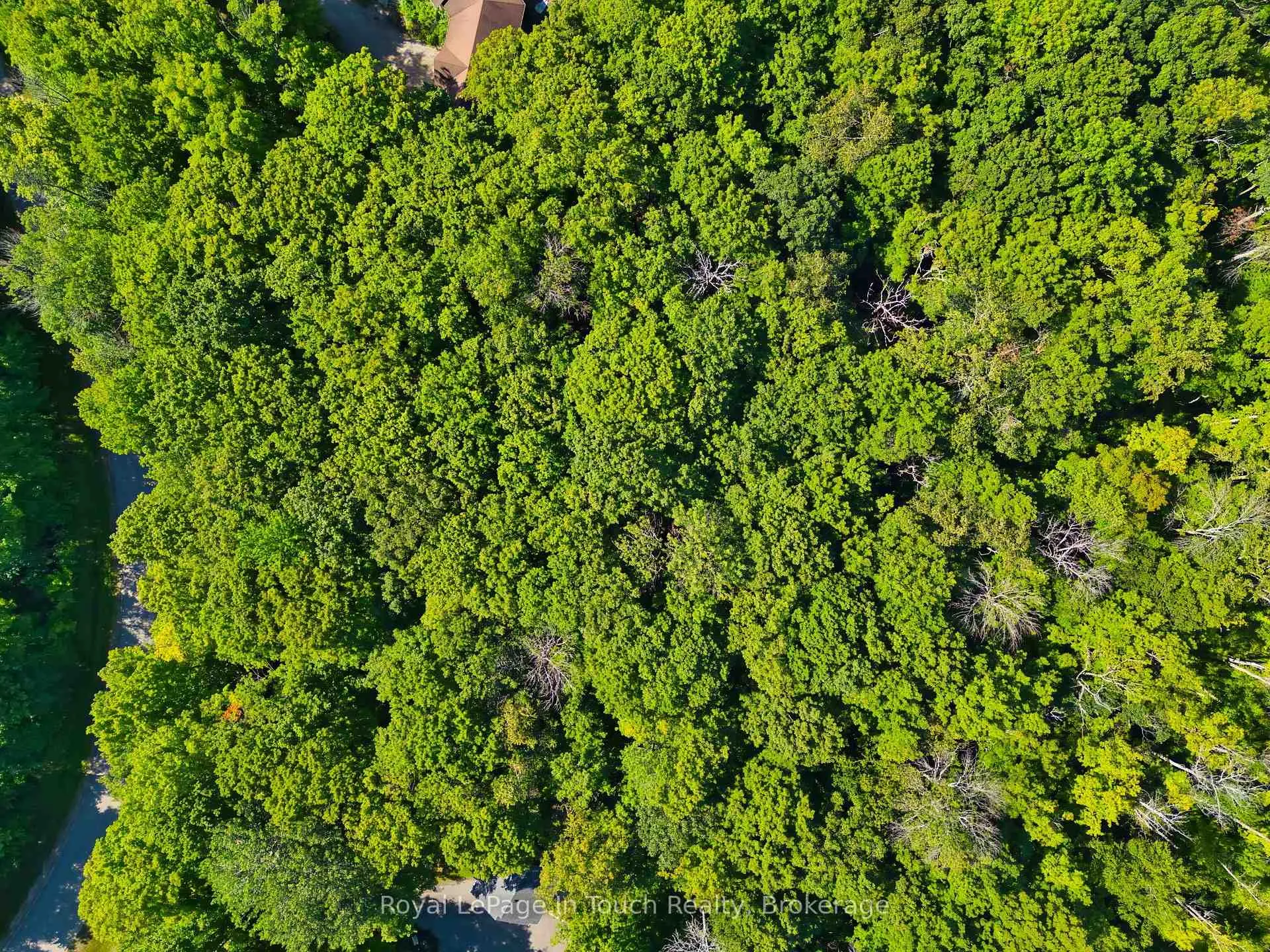 Photo 16 of Lot 52 Copeland Creek Drive, Tiny, Rural Tiny — HOMEH