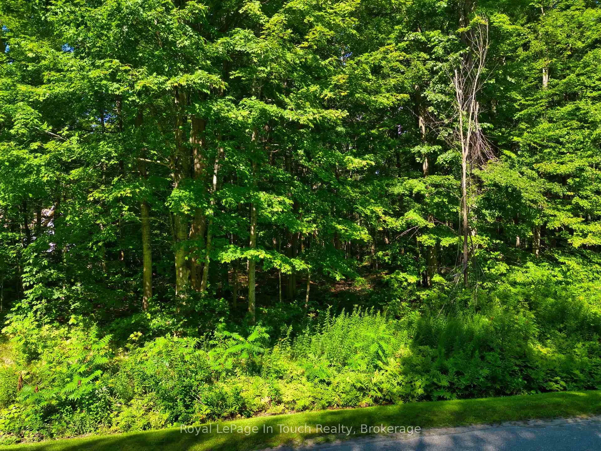 Photo 30 of Lot 52 Copeland Creek Drive, Tiny, Rural Tiny — HOMEH