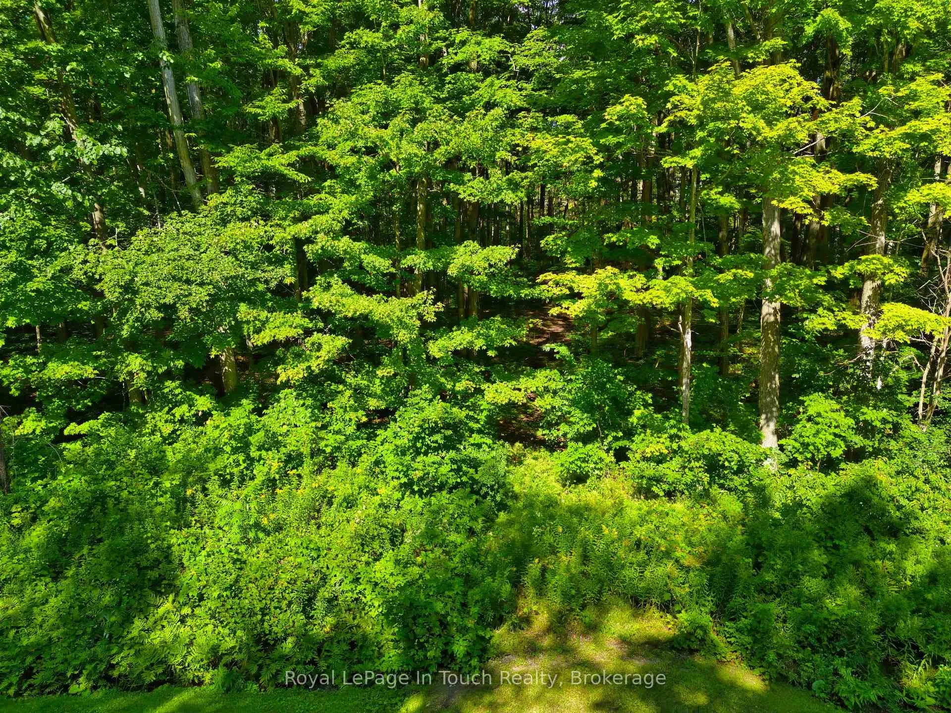 Photo 31 of Lot 52 Copeland Creek Drive, Tiny, Rural Tiny — HOMEH