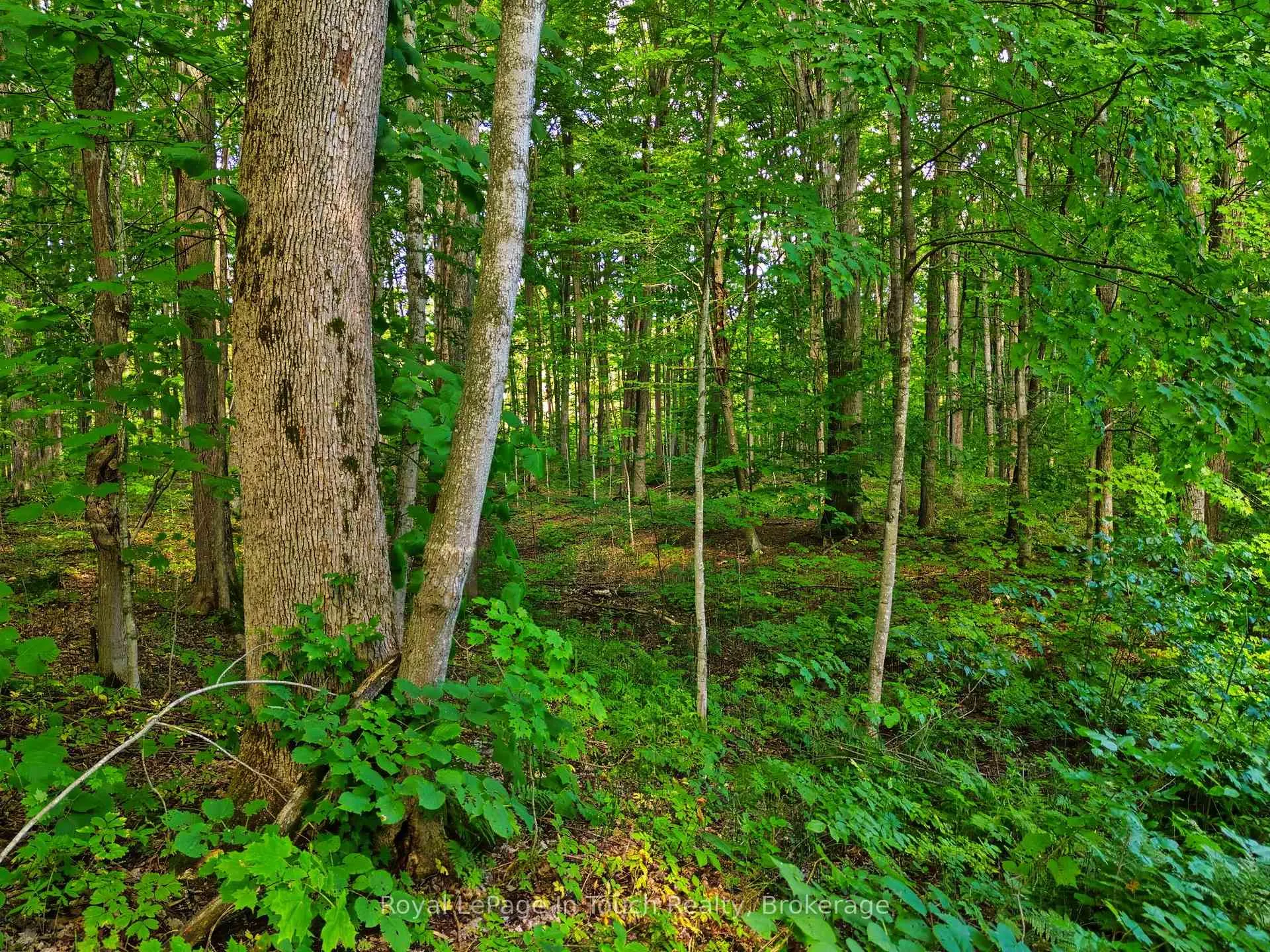 Photo 32 of Lot 52 Copeland Creek Drive, Tiny, Rural Tiny — HOMEH