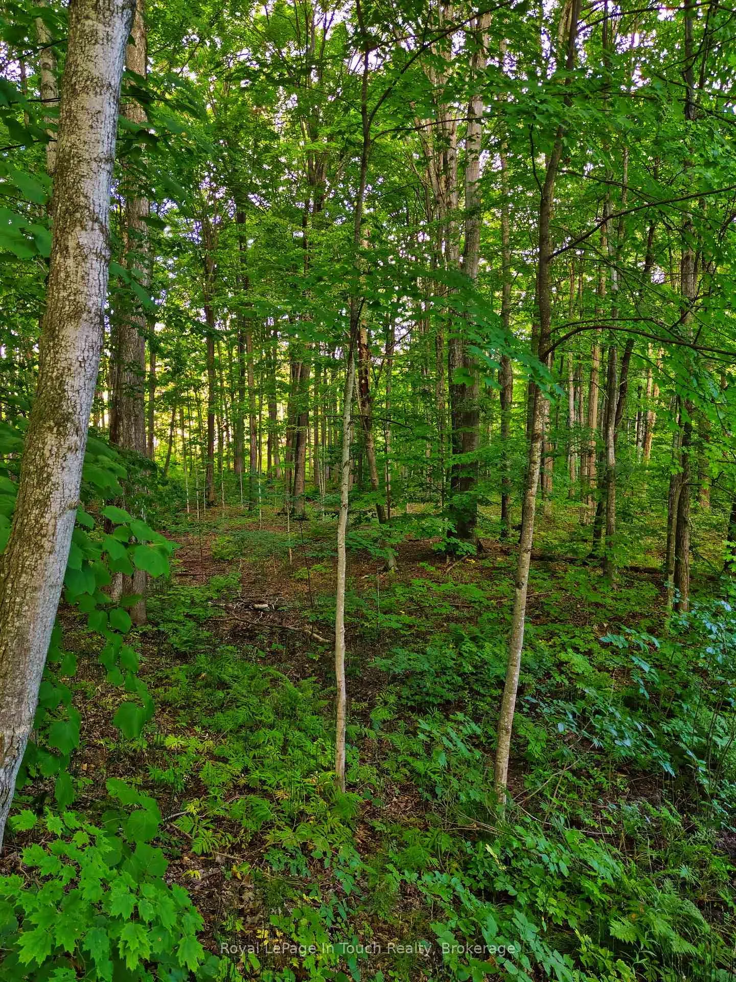 Photo 33 of Lot 52 Copeland Creek Drive, Tiny, Rural Tiny — HOMEH